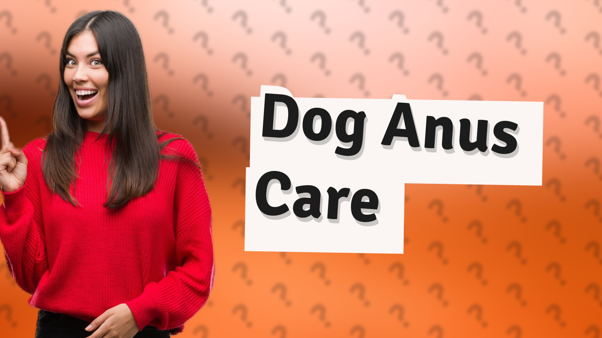 Dog Anus Care
