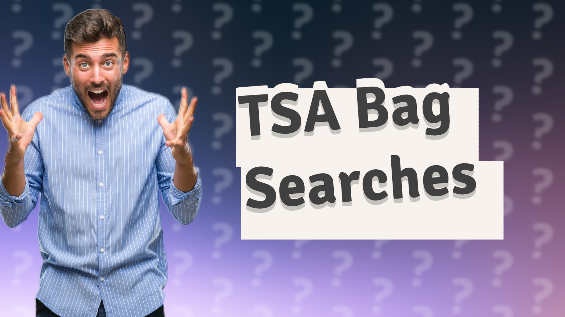 TSA Bag Searches