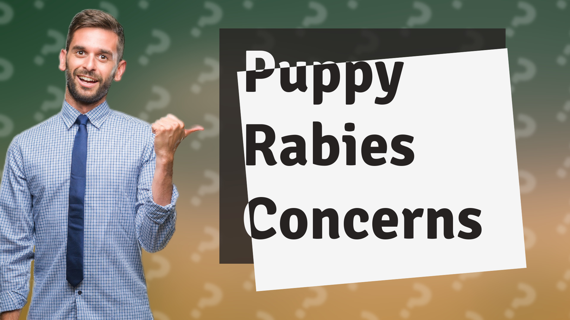 Puppy Rabies Concerns