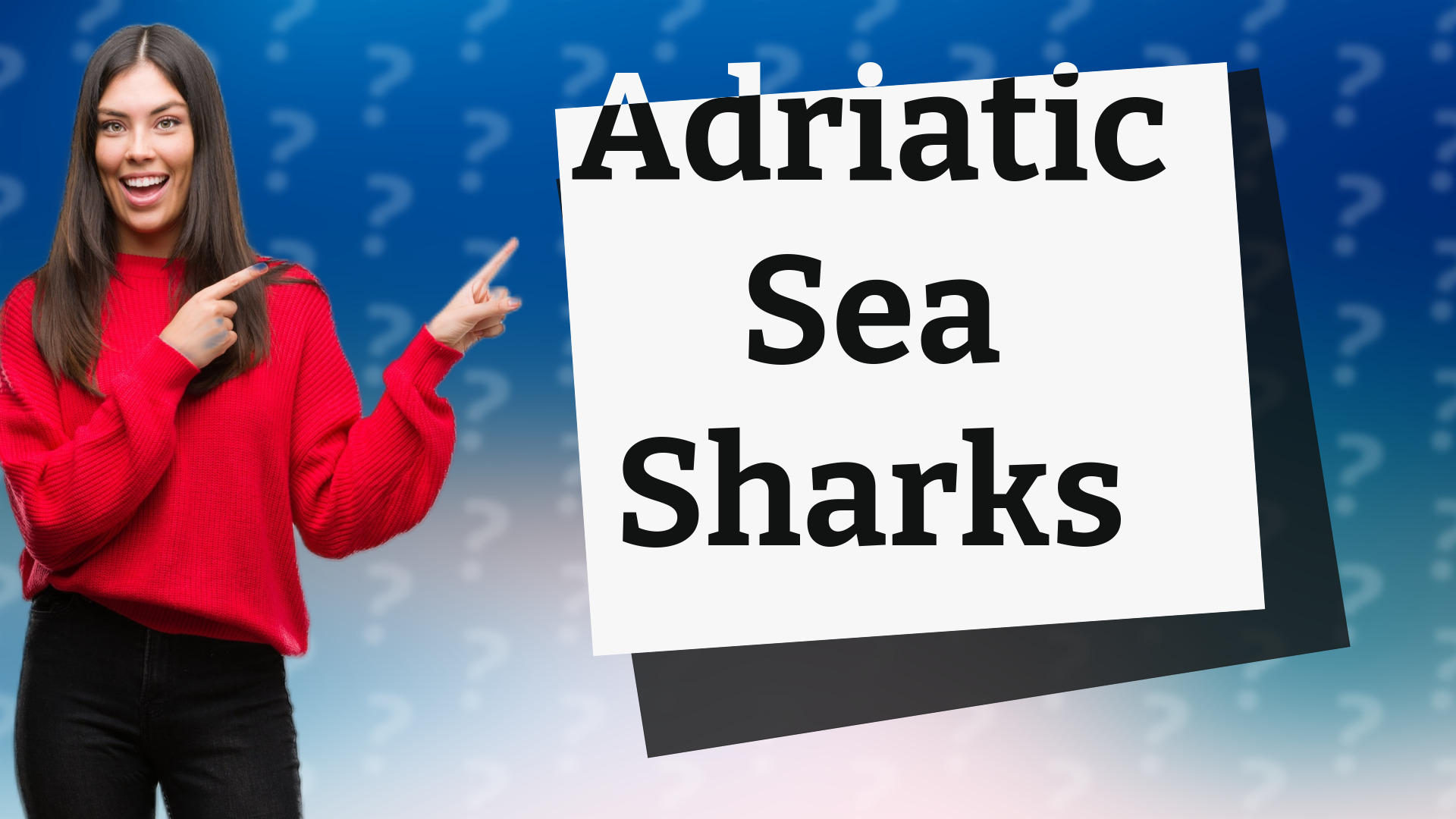 Adriatic Sea Sharks