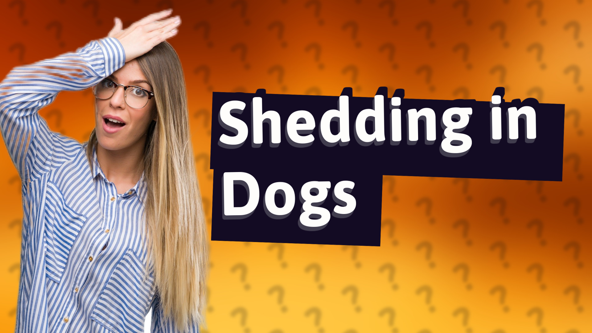 Shedding in Dogs