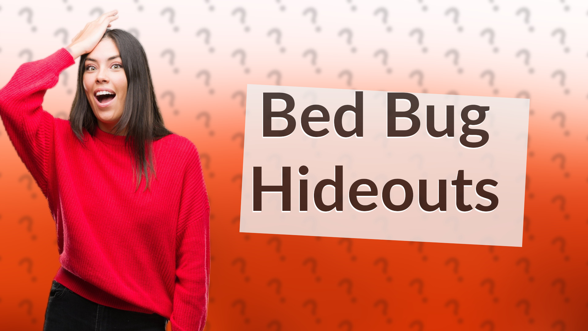 Bed Bug Hideouts