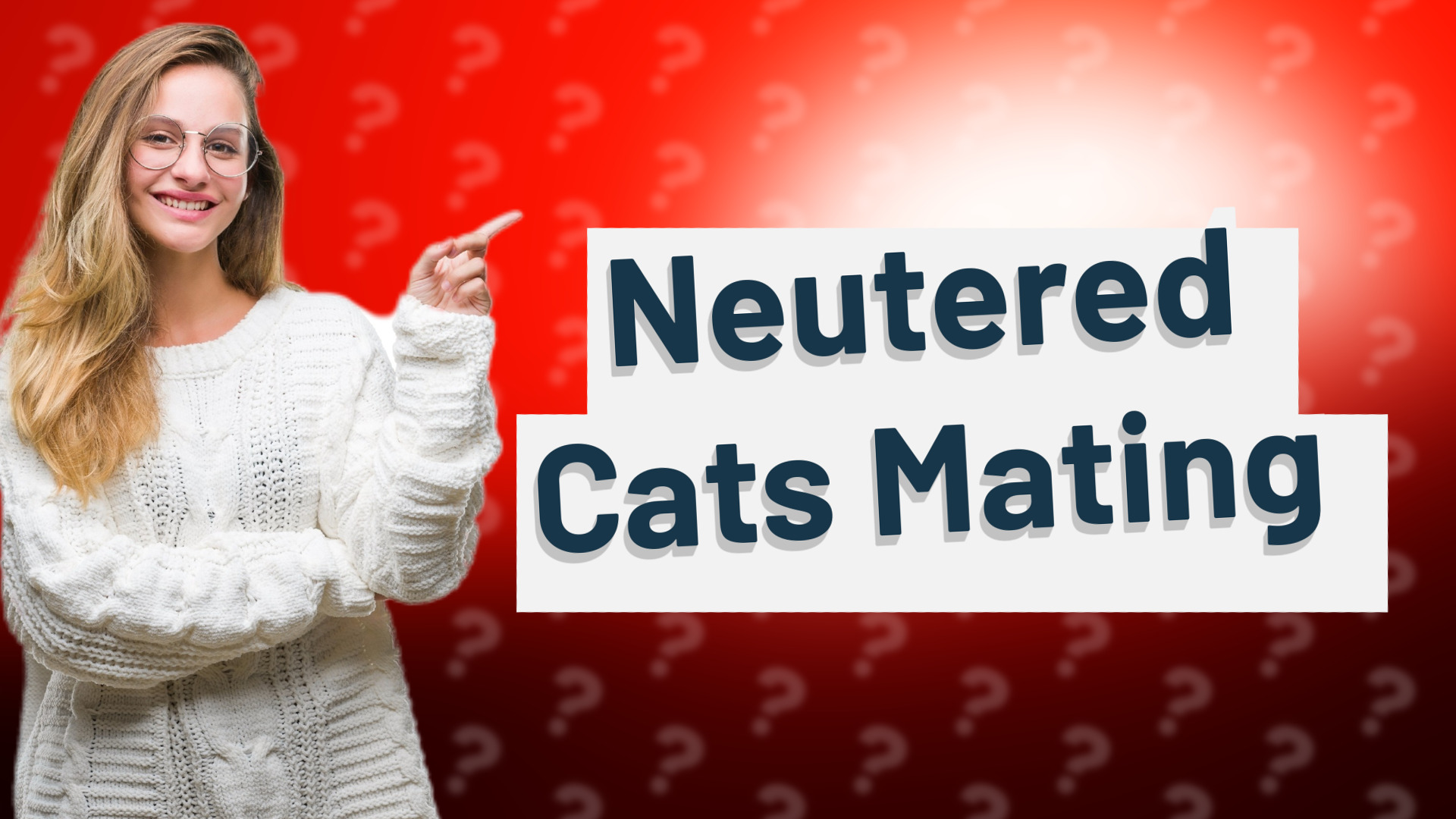 Neutered Cats Mating