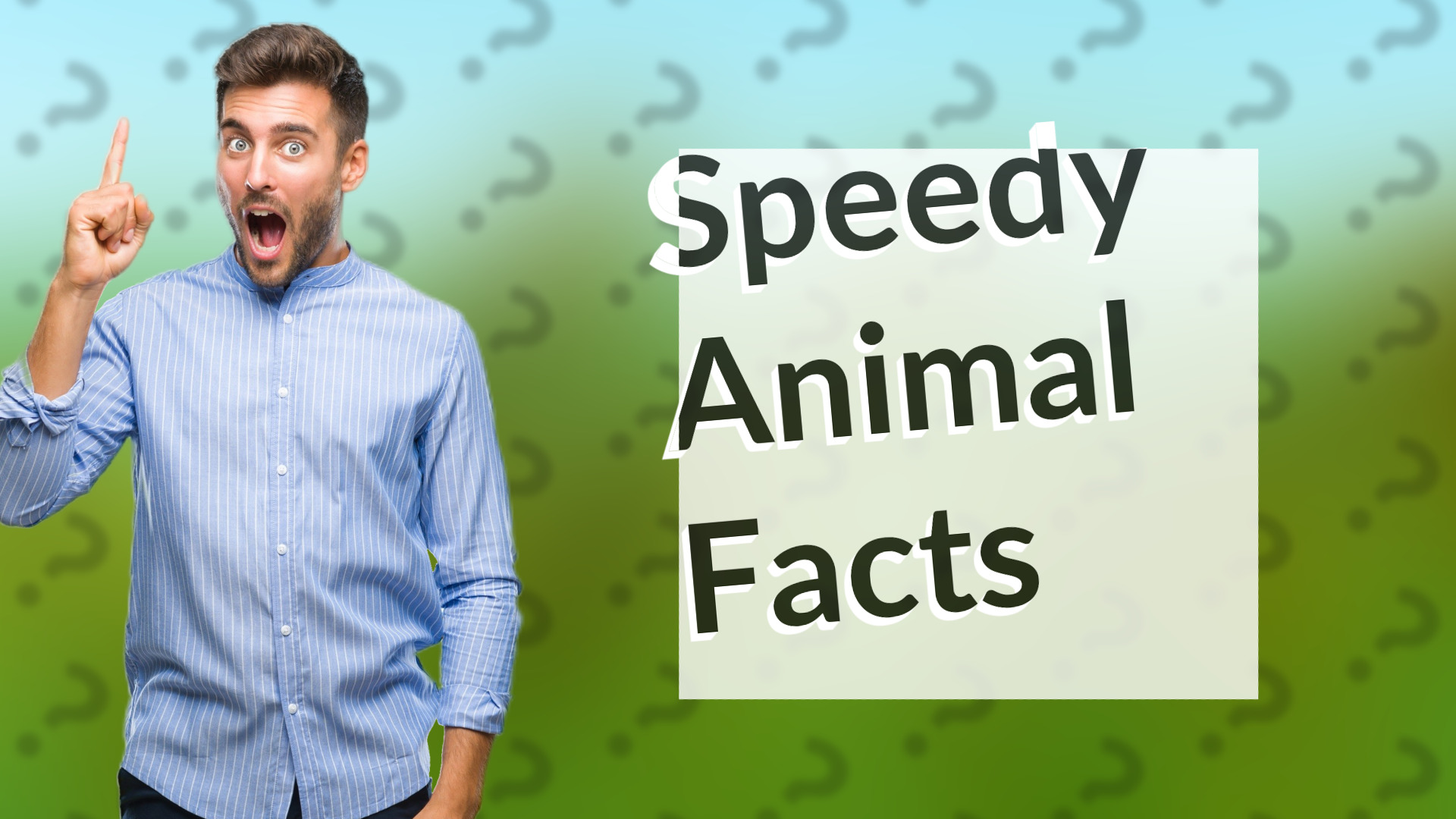 Speedy Animal Facts