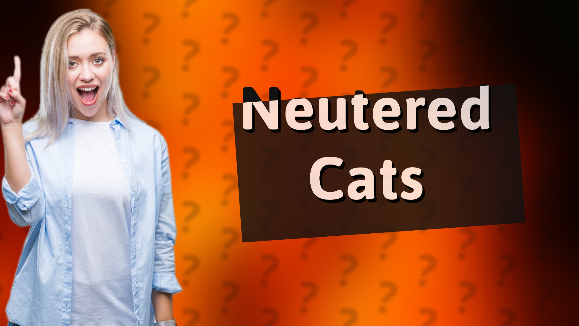 Neutered Cats