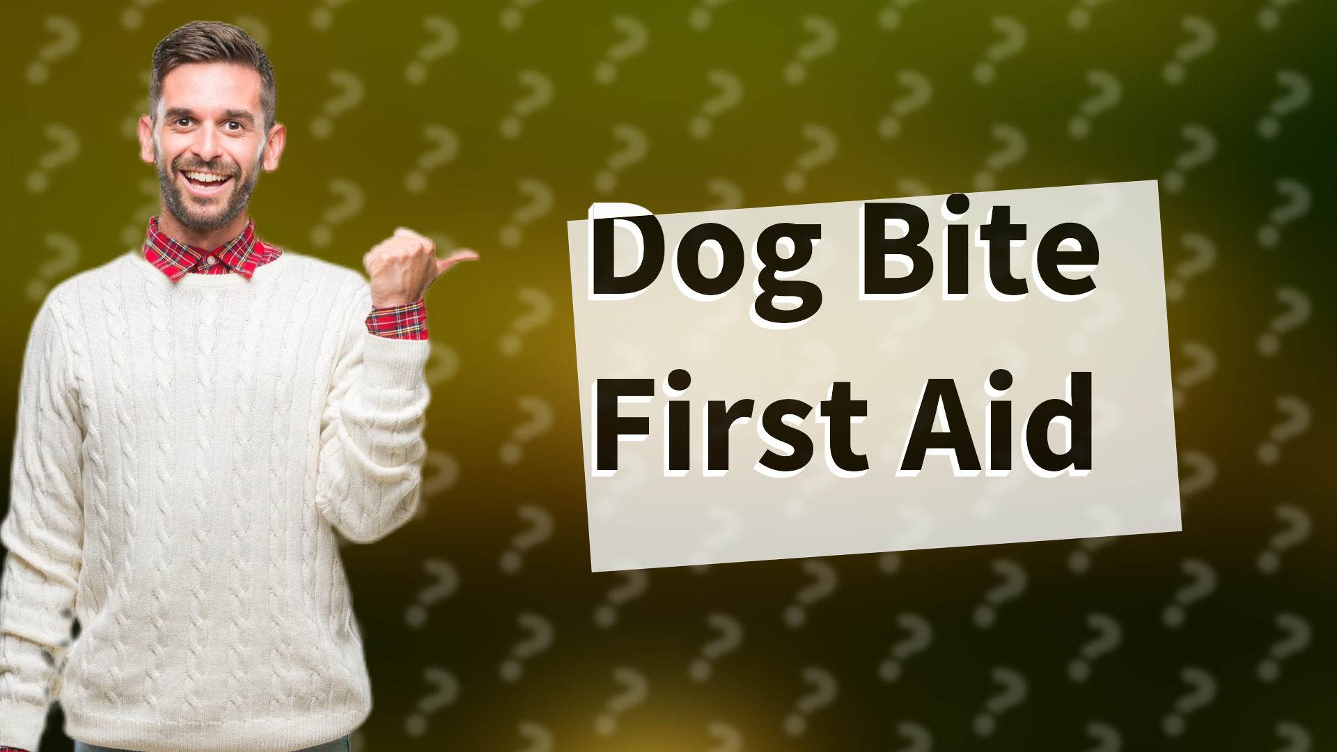 Dog Bite First Aid
