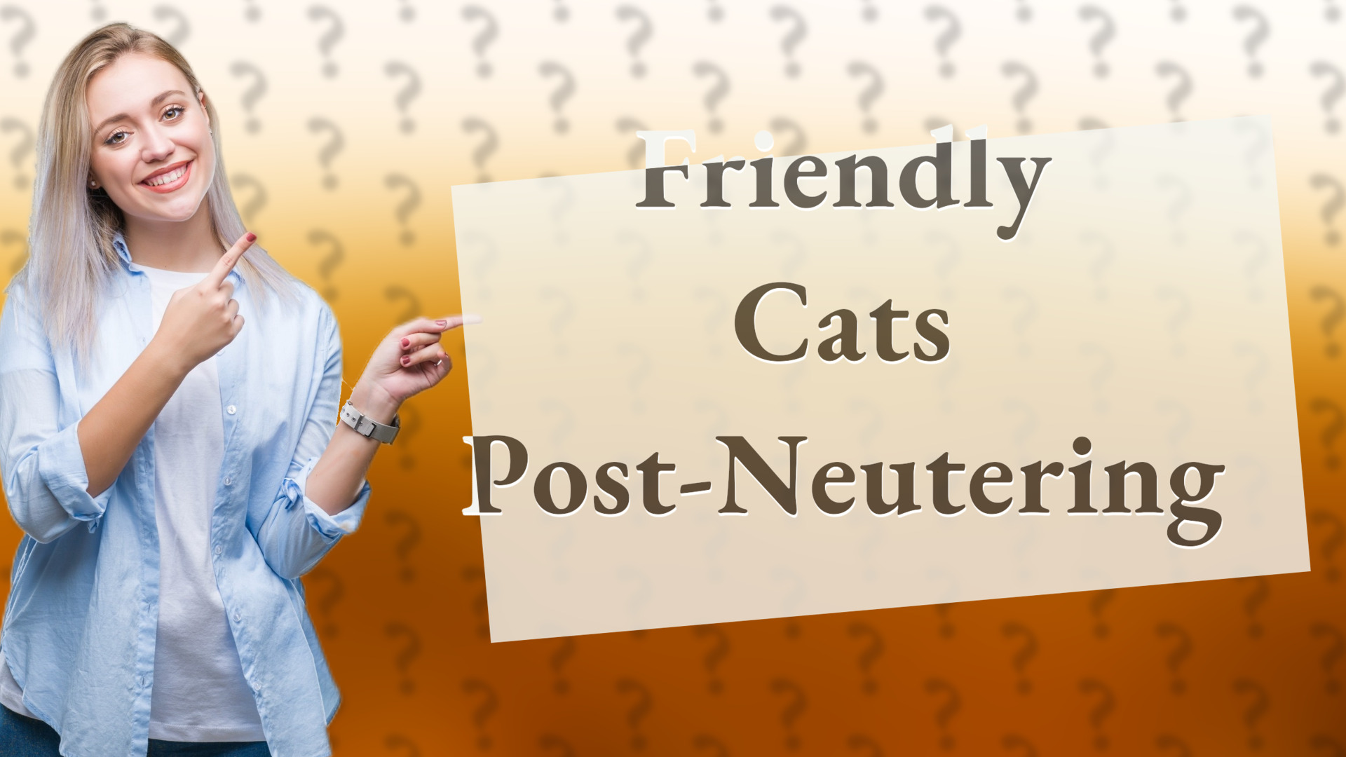Friendly Cats Post-Neutering
