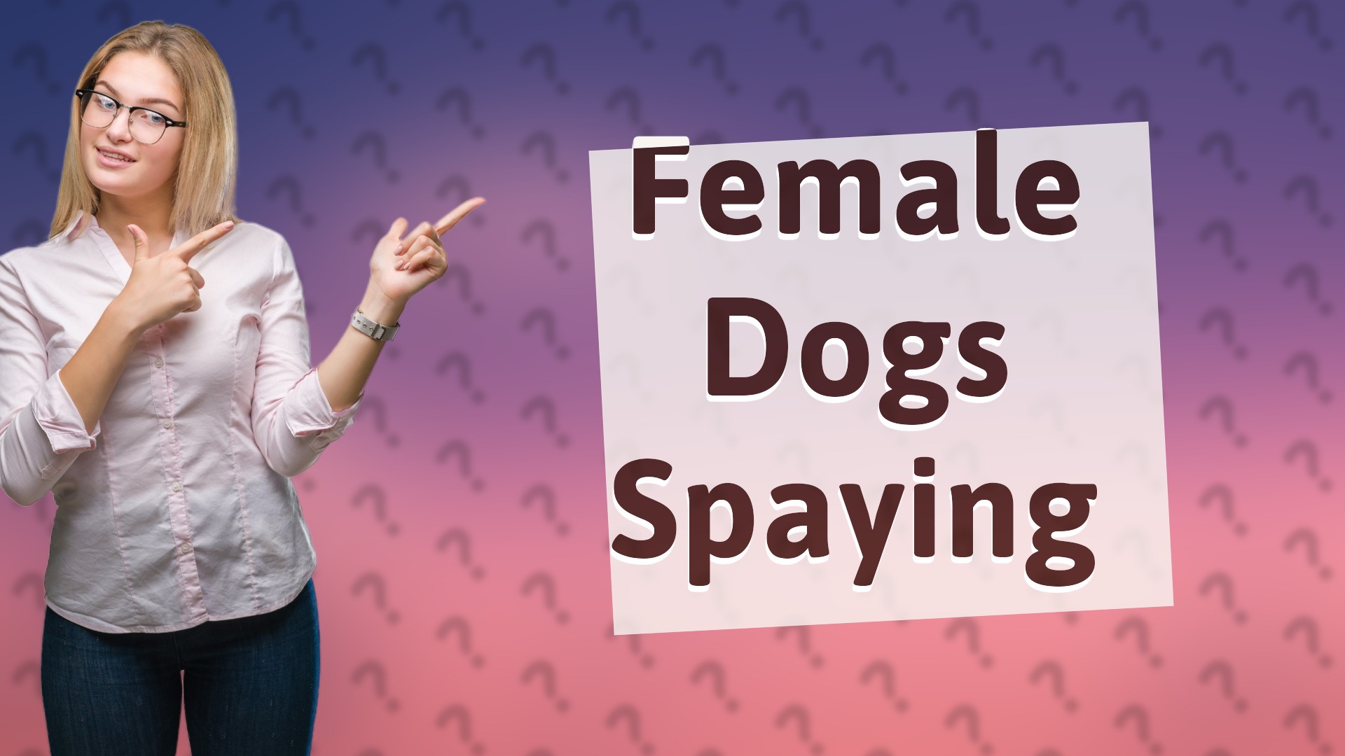 Female Dogs Spaying