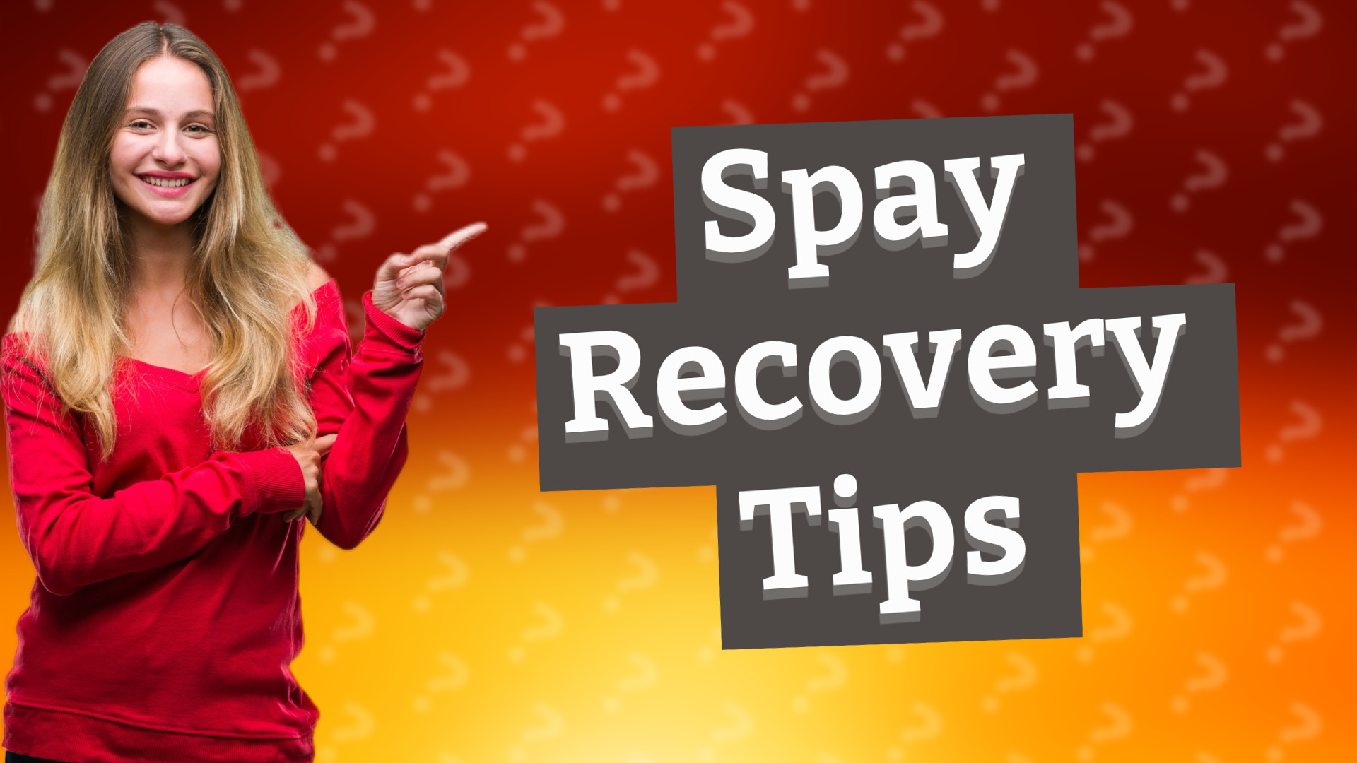 Spay Recovery Tips