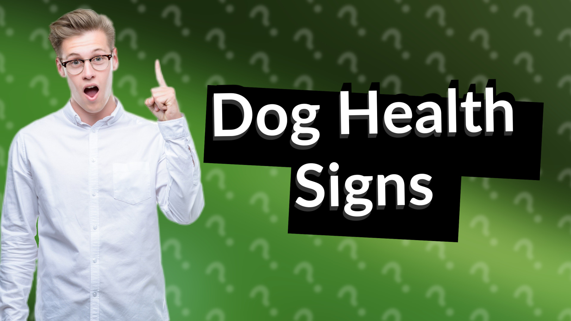 Dog Health Signs