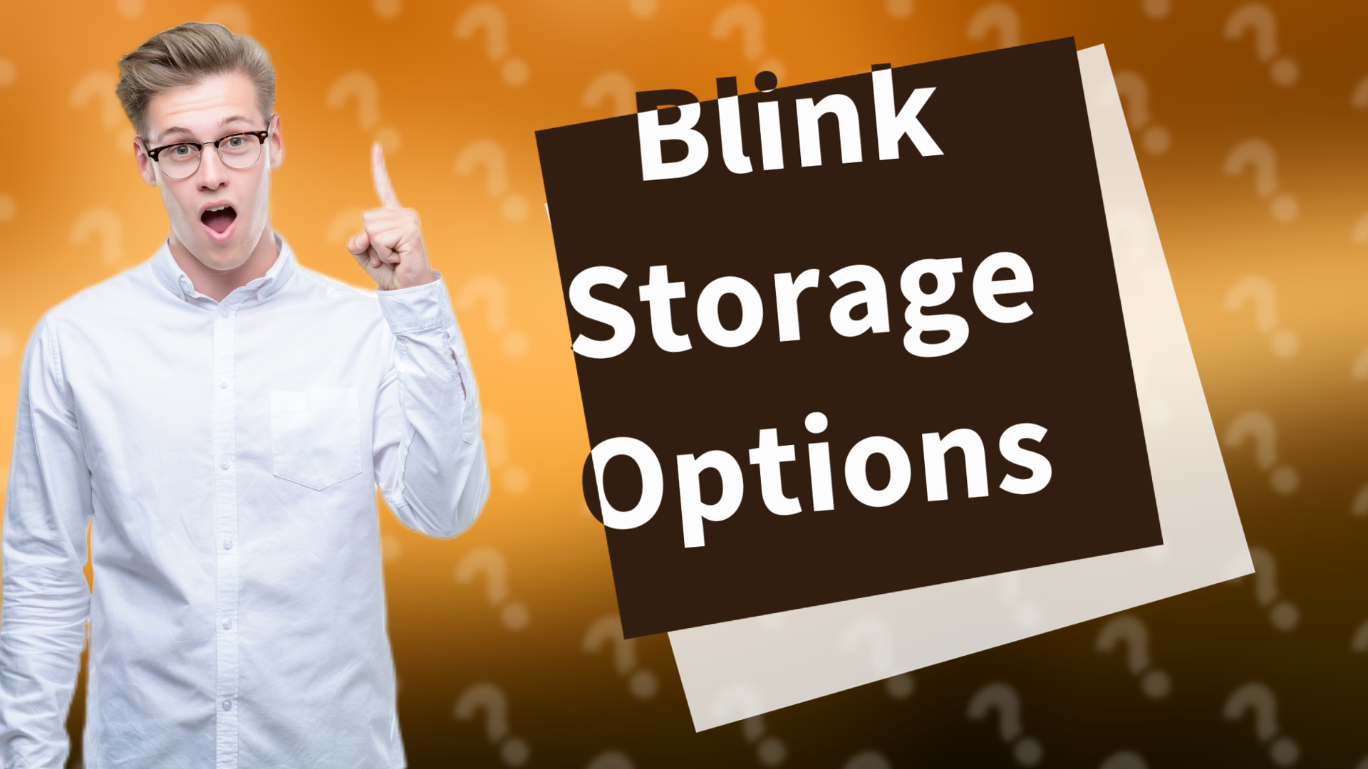 Blink Storage Options