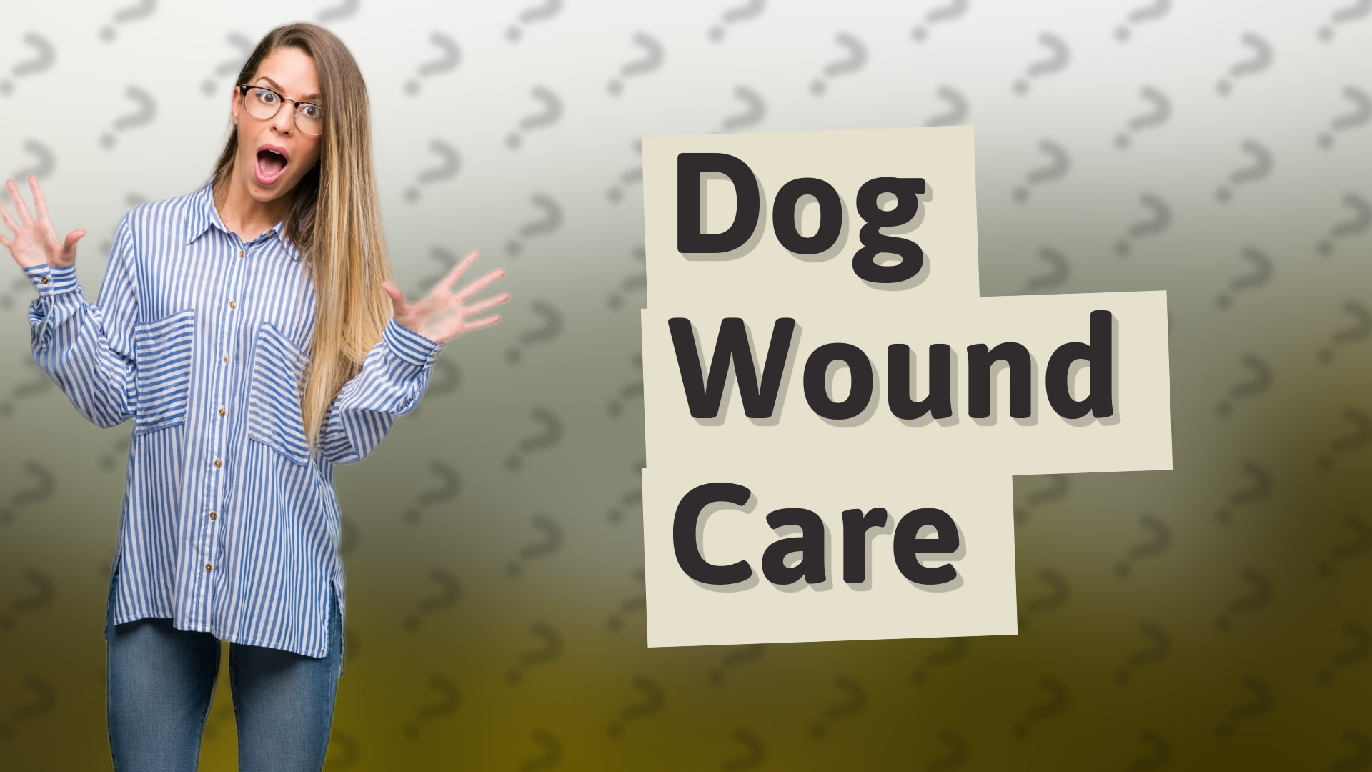 Dog Wound Care