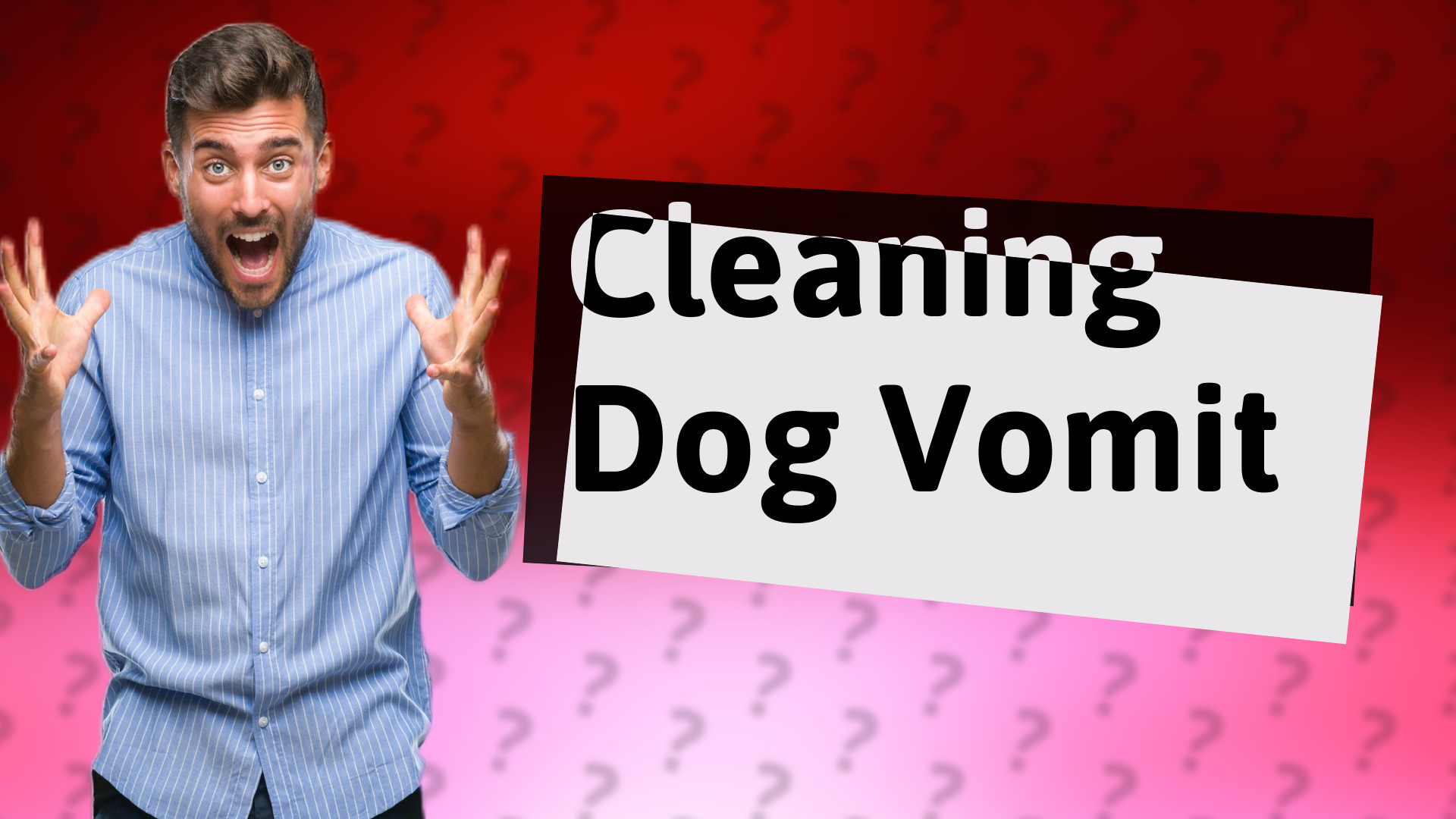 Cleaning Dog Vomit