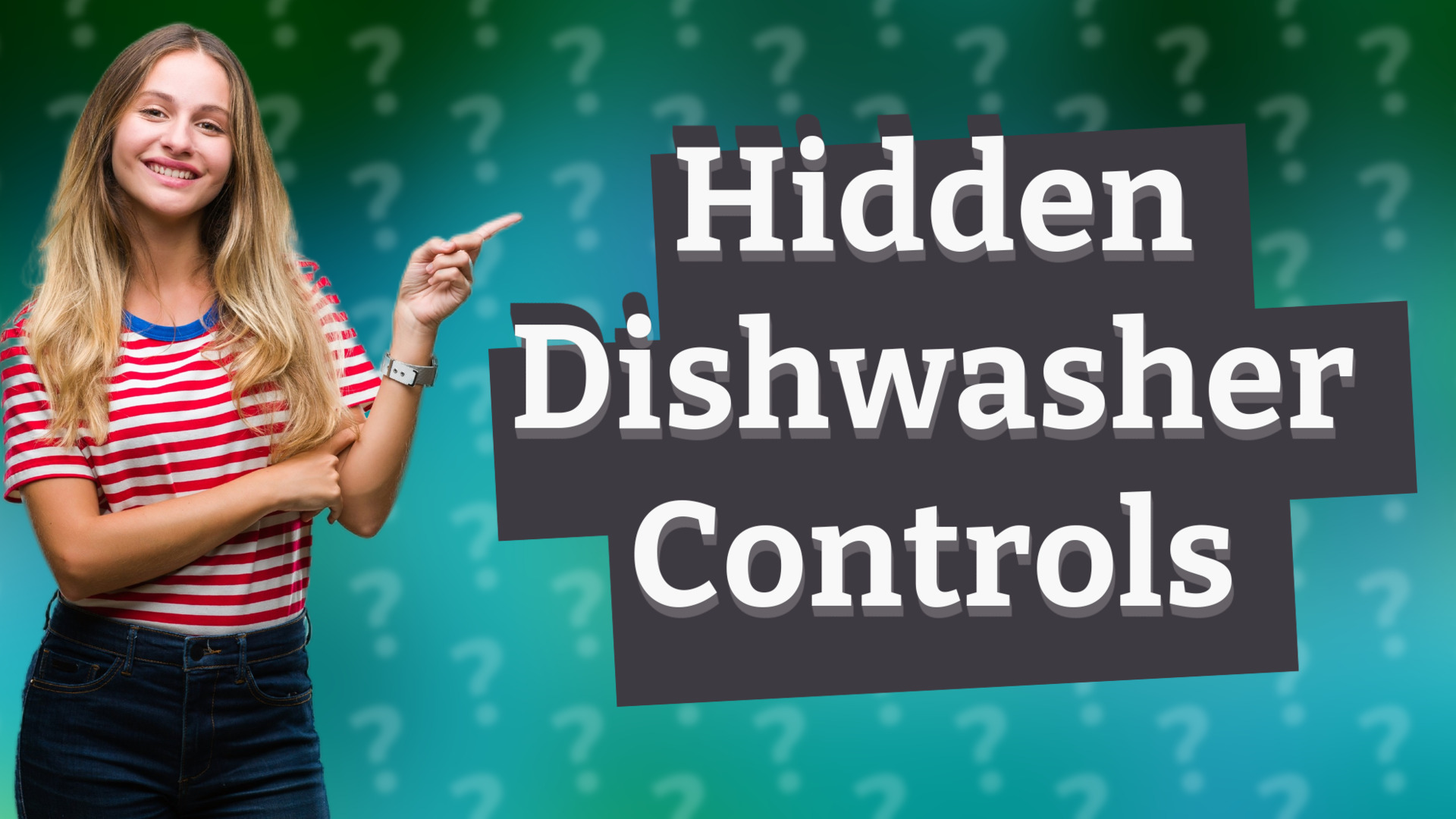 Hidden Dishwasher Controls