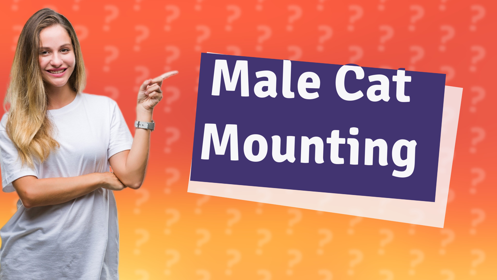 Male Cat Mounting