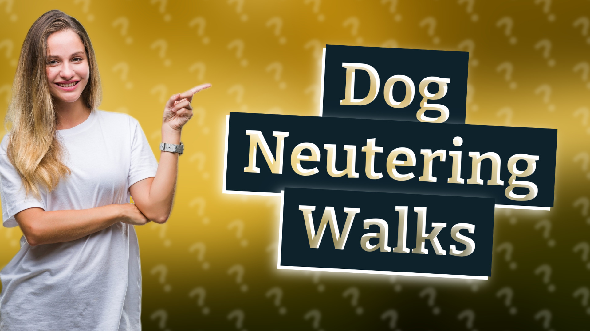 Dog Neutering Walks
