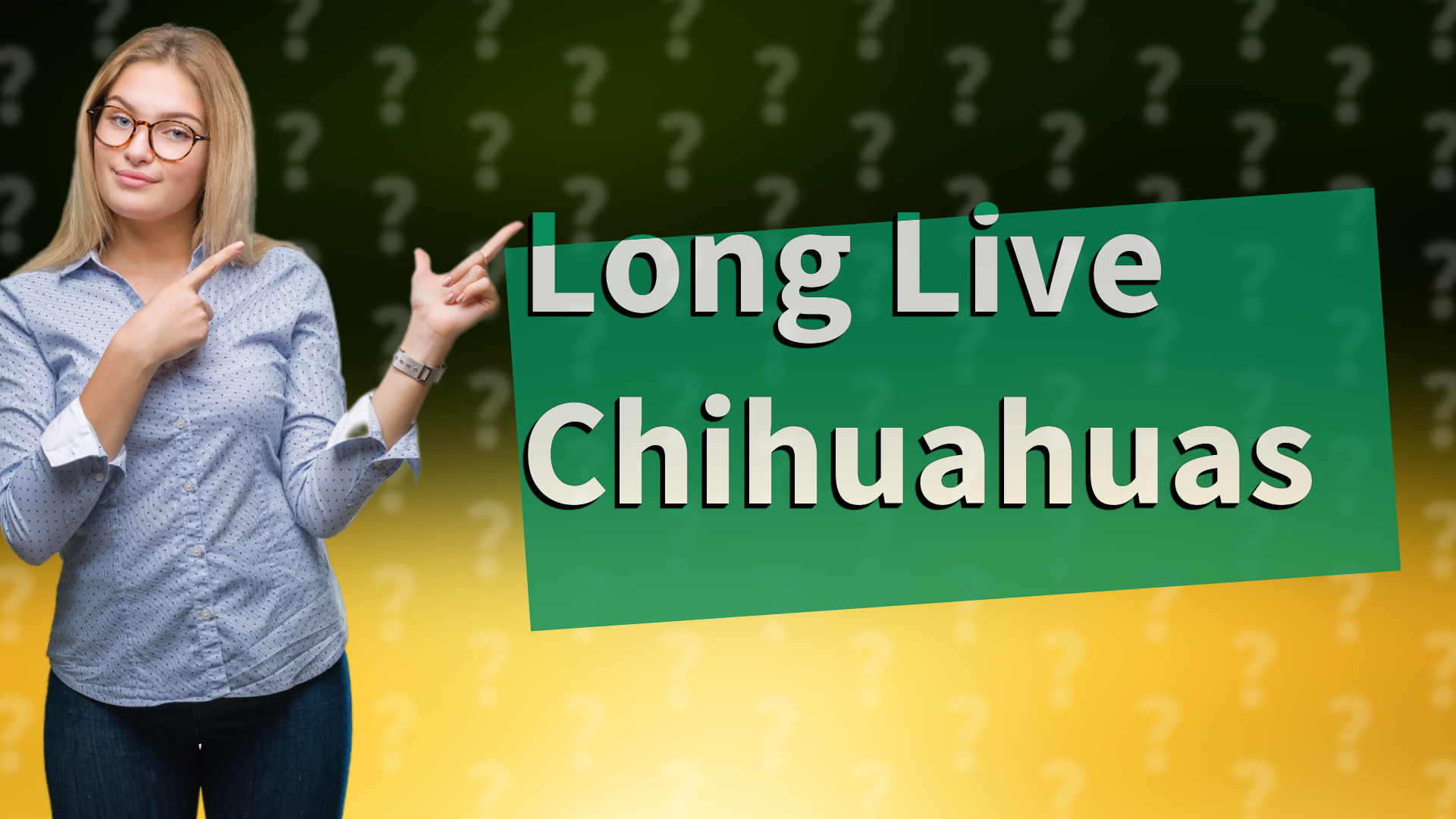 Long Live Chihuahuas
