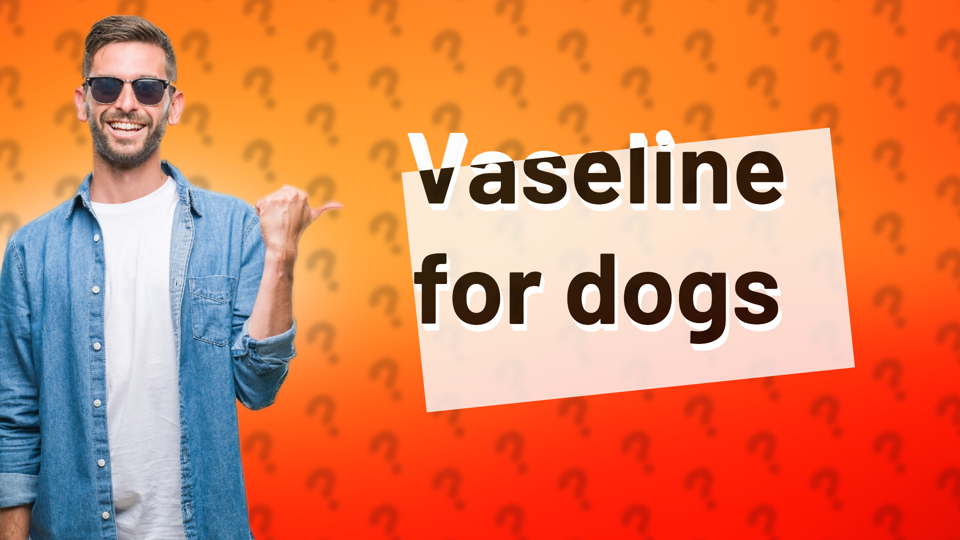 Vaseline for dogs