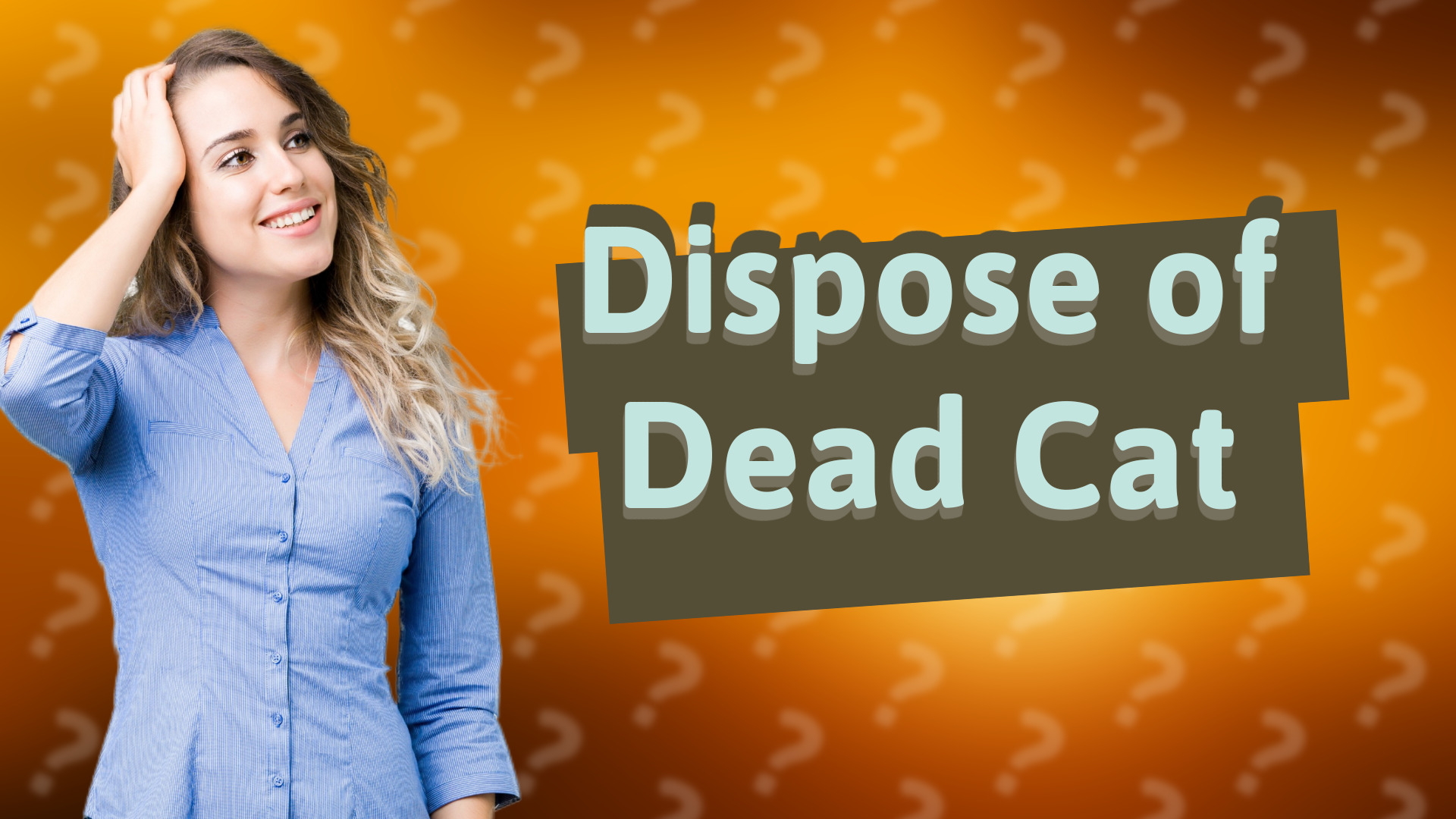 Dispose of Dead Cat