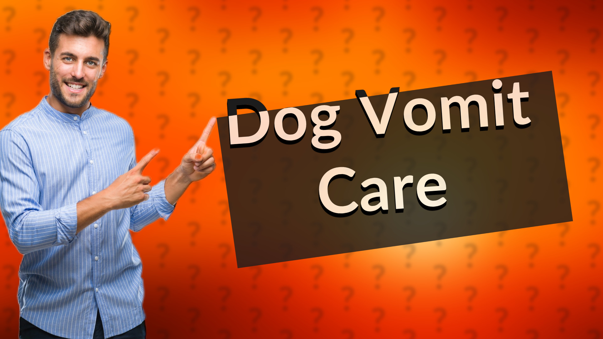 Dog Vomit Care
