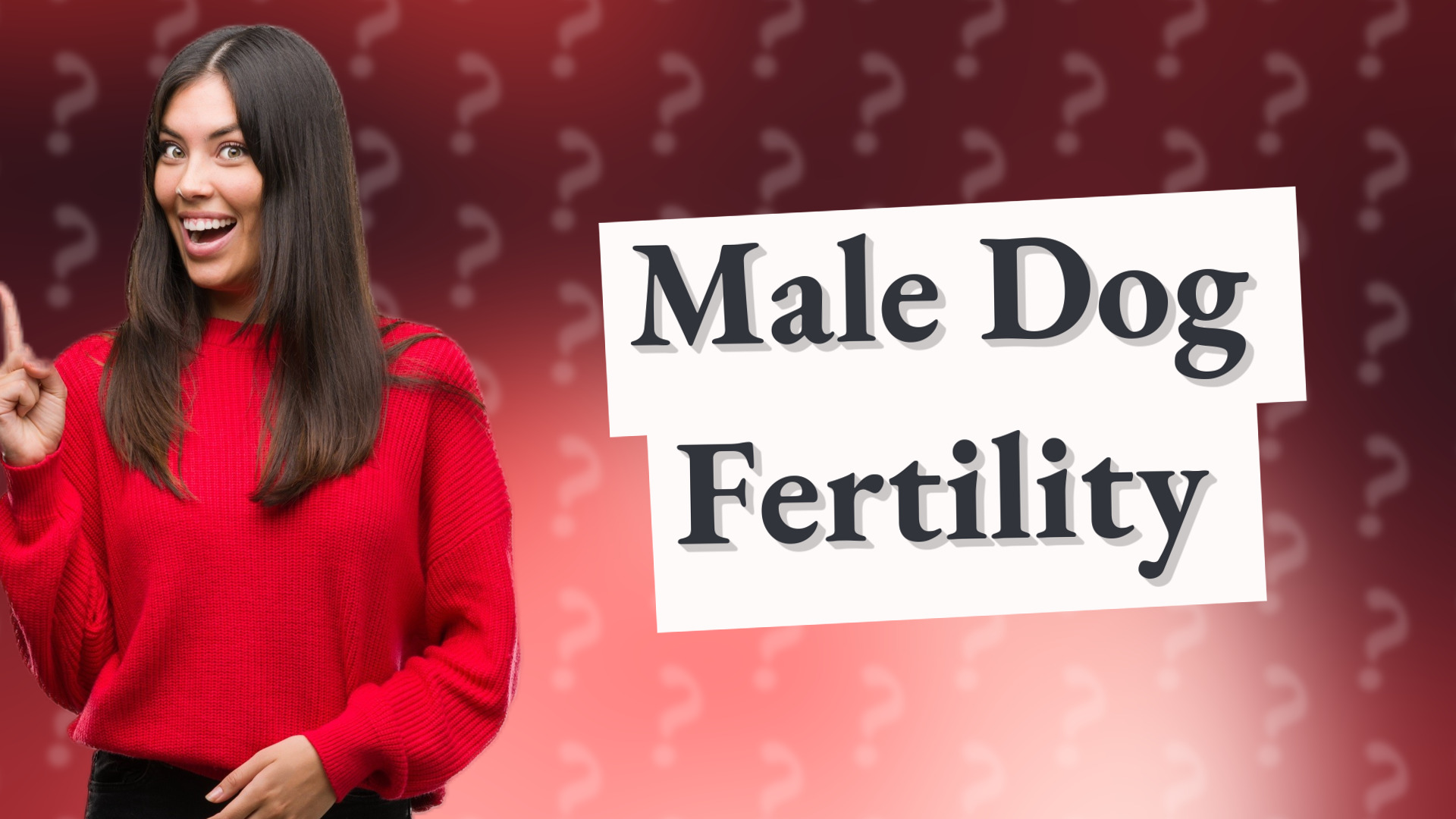 Male Dog Fertility