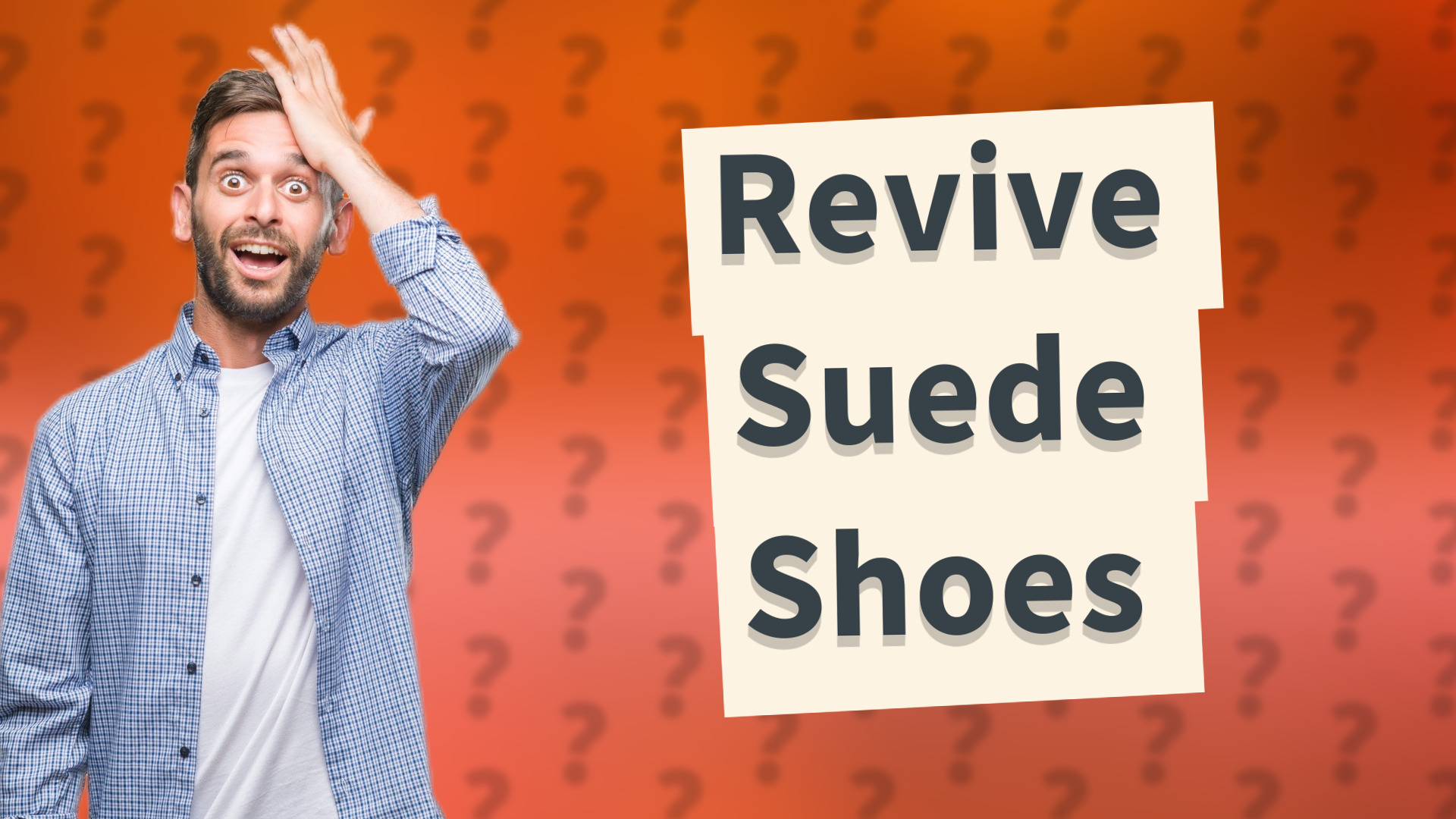 Revive Suede Shoes