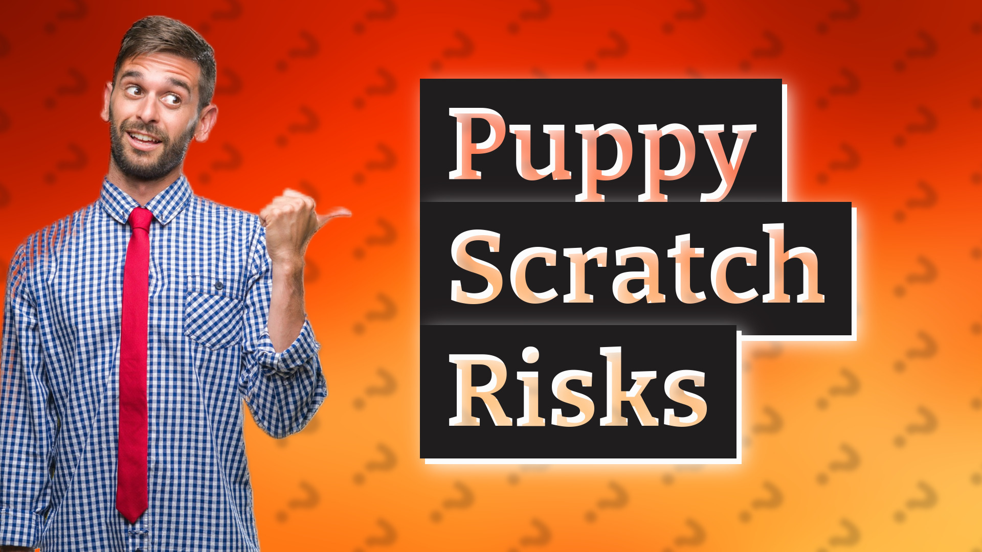 Puppy Scratch Risks