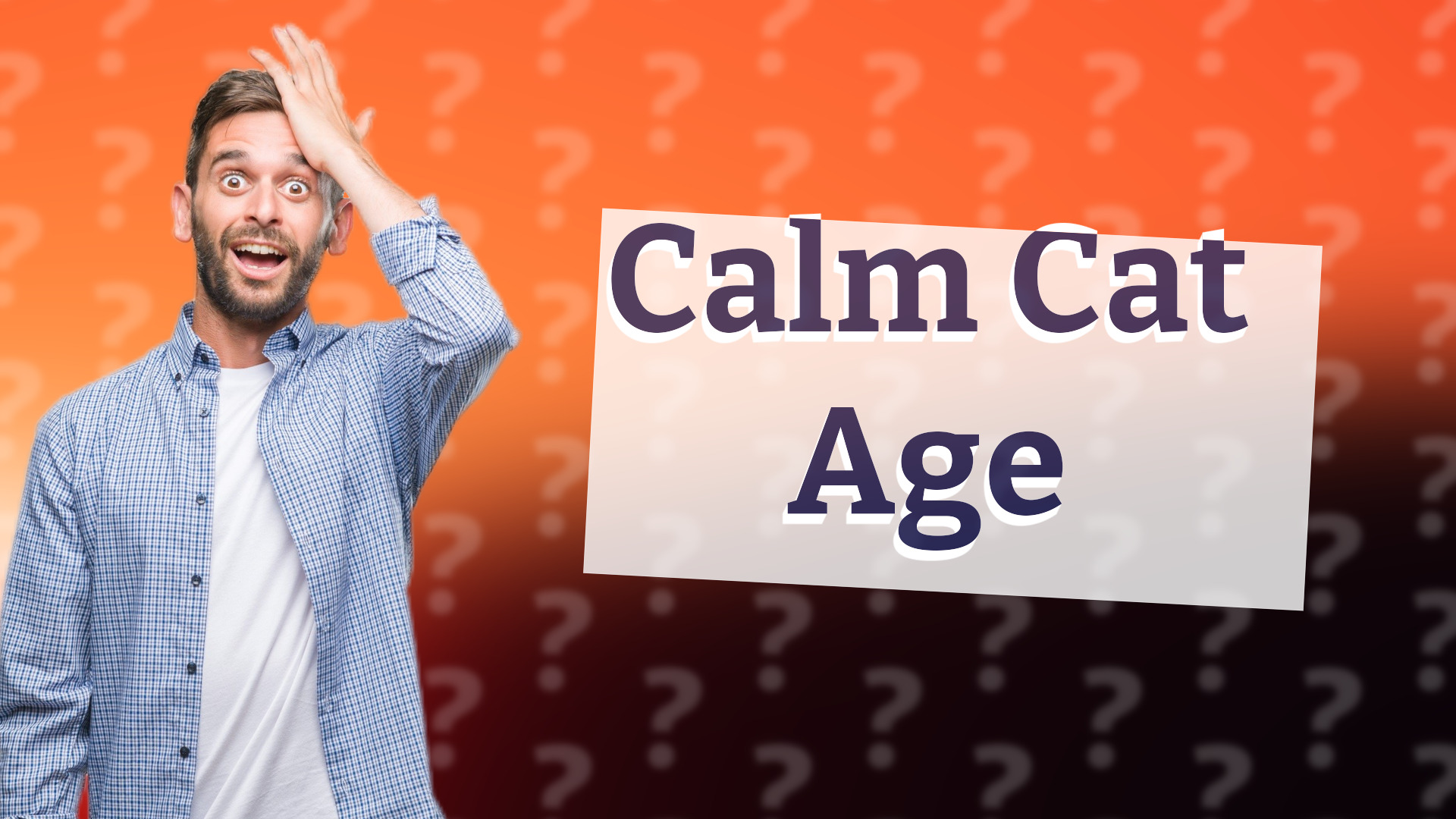 Calm Cat Age