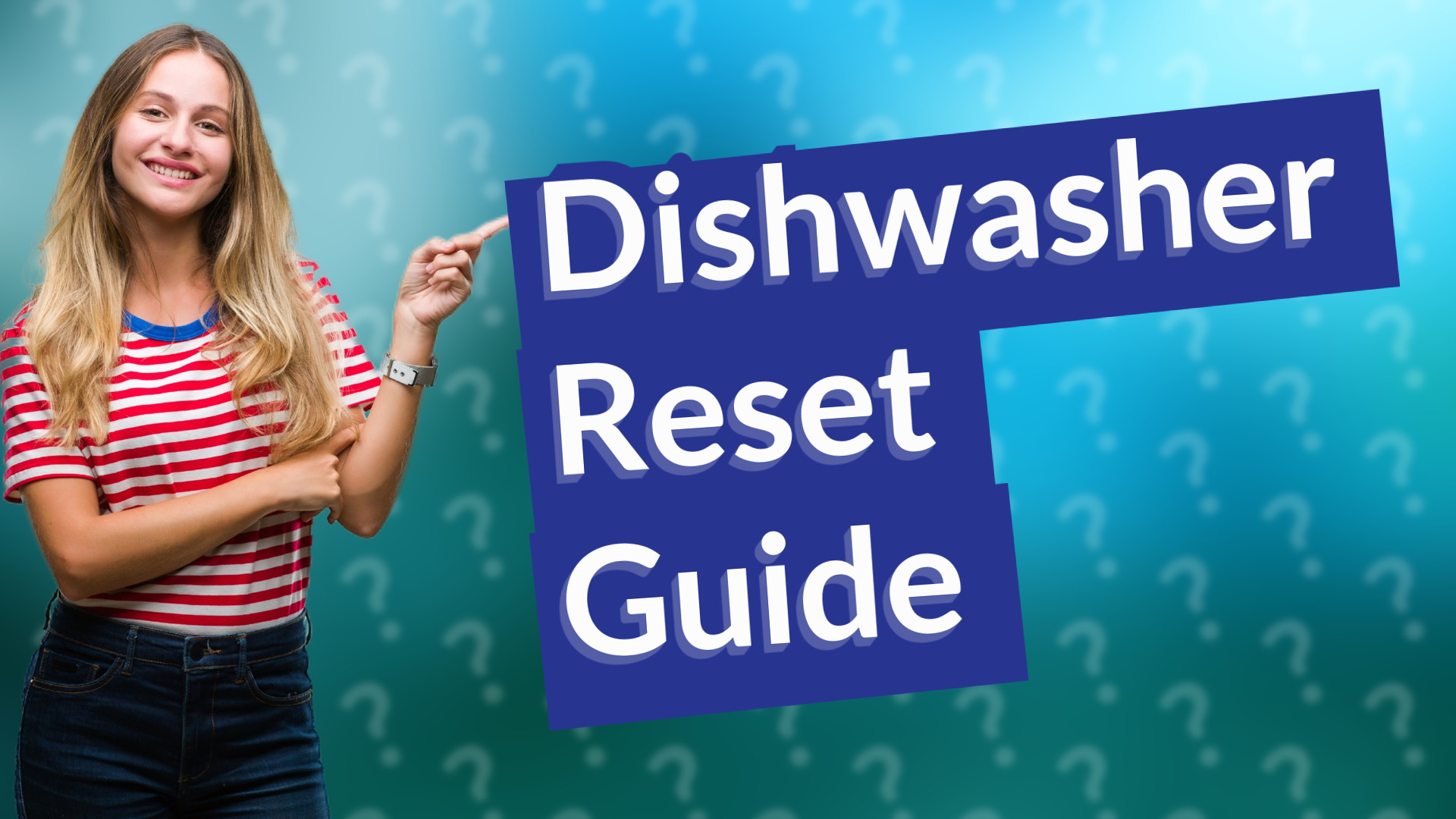 Dishwasher Reset Guide