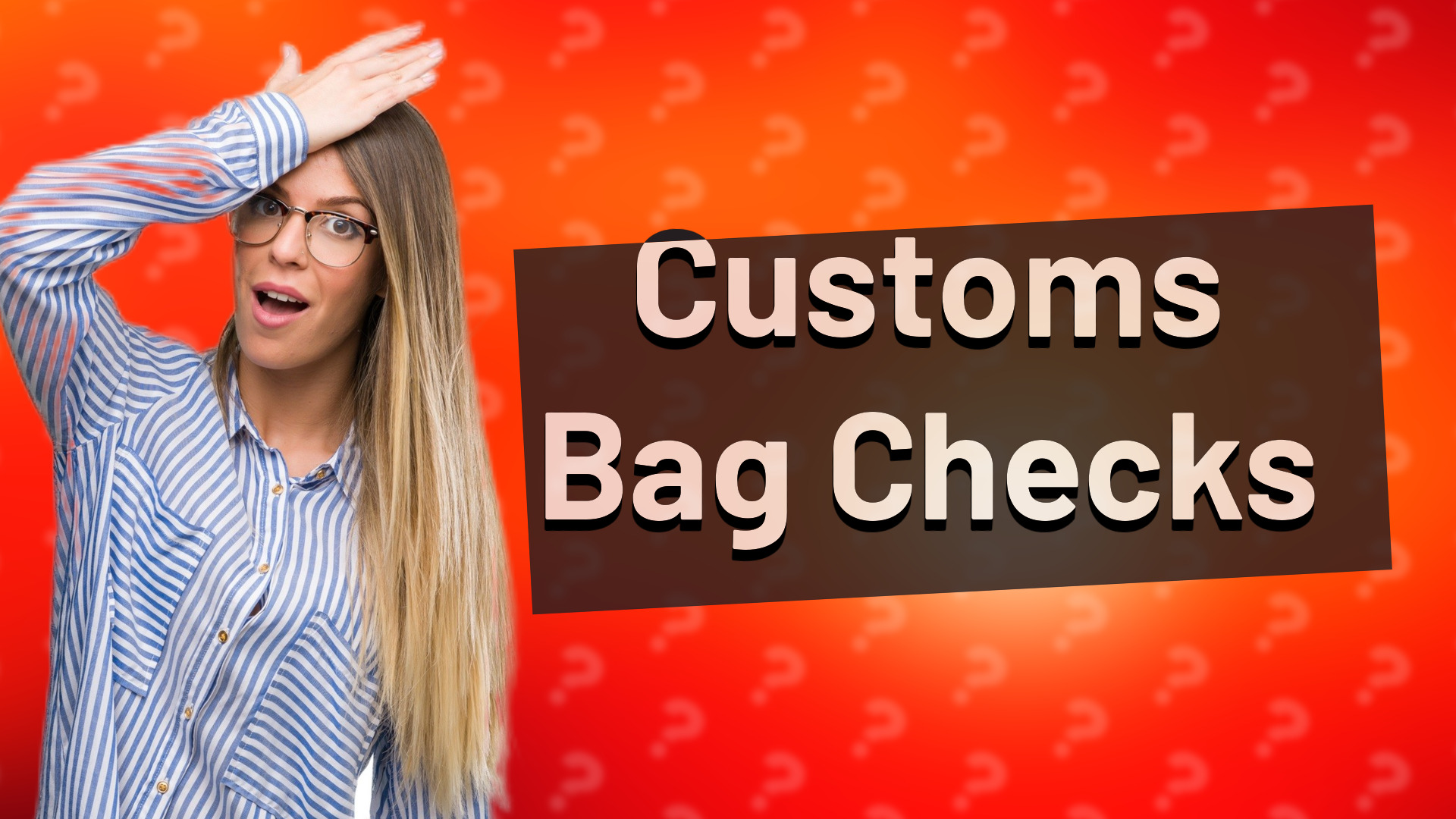 Customs Bag Checks