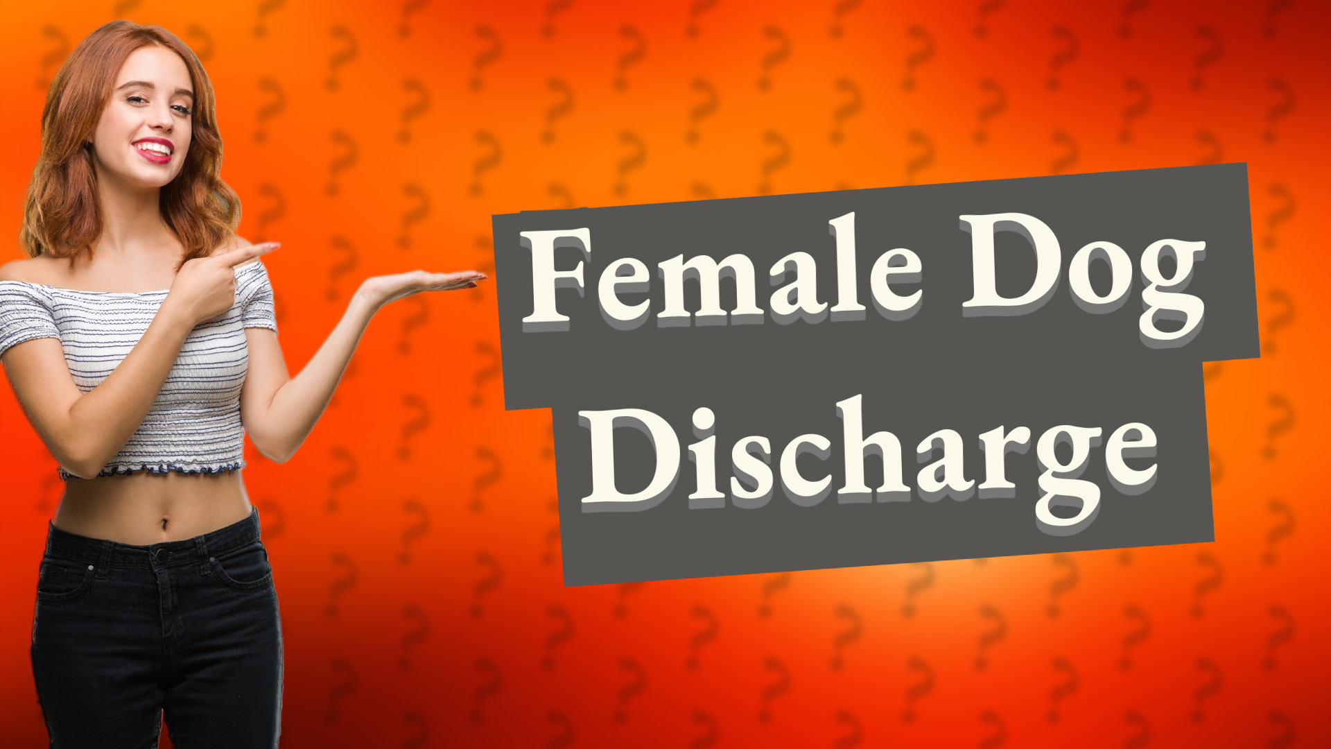 Female Dog Discharge