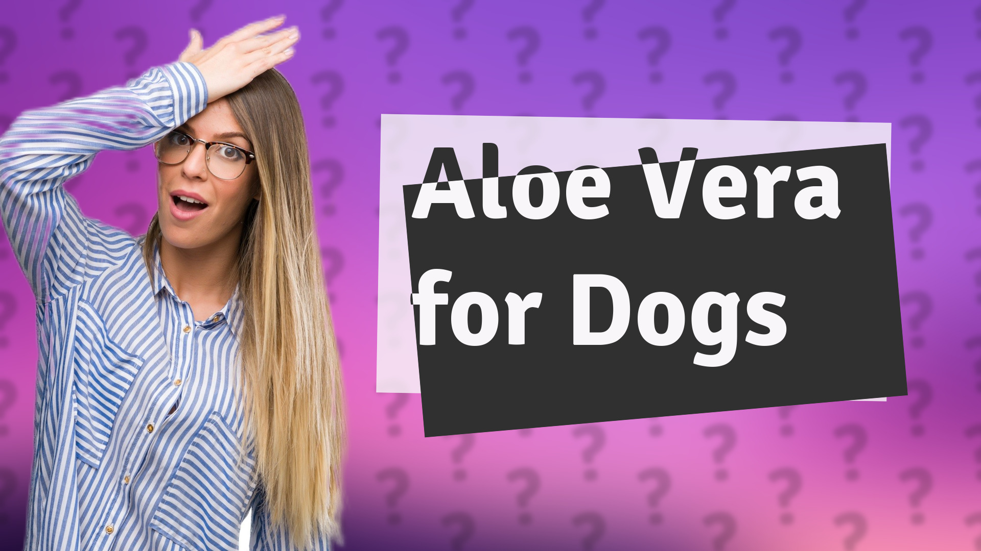 Aloe Vera for Dogs