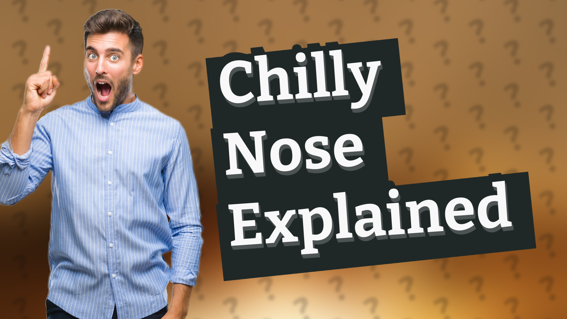 Chilly Nose Explained
