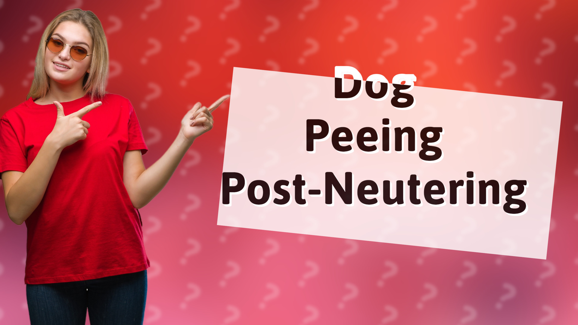 Dog Peeing Post-Neutering