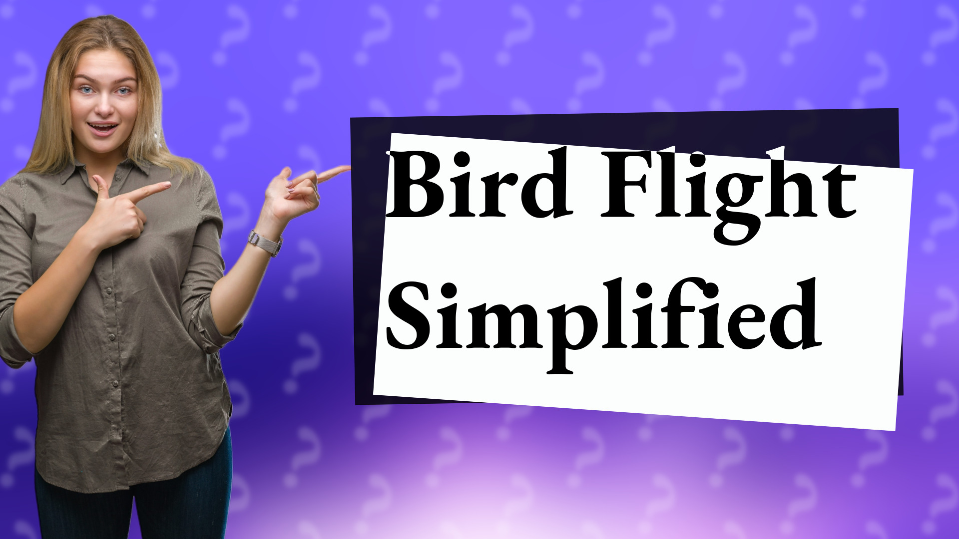 Bird Flight Simplified