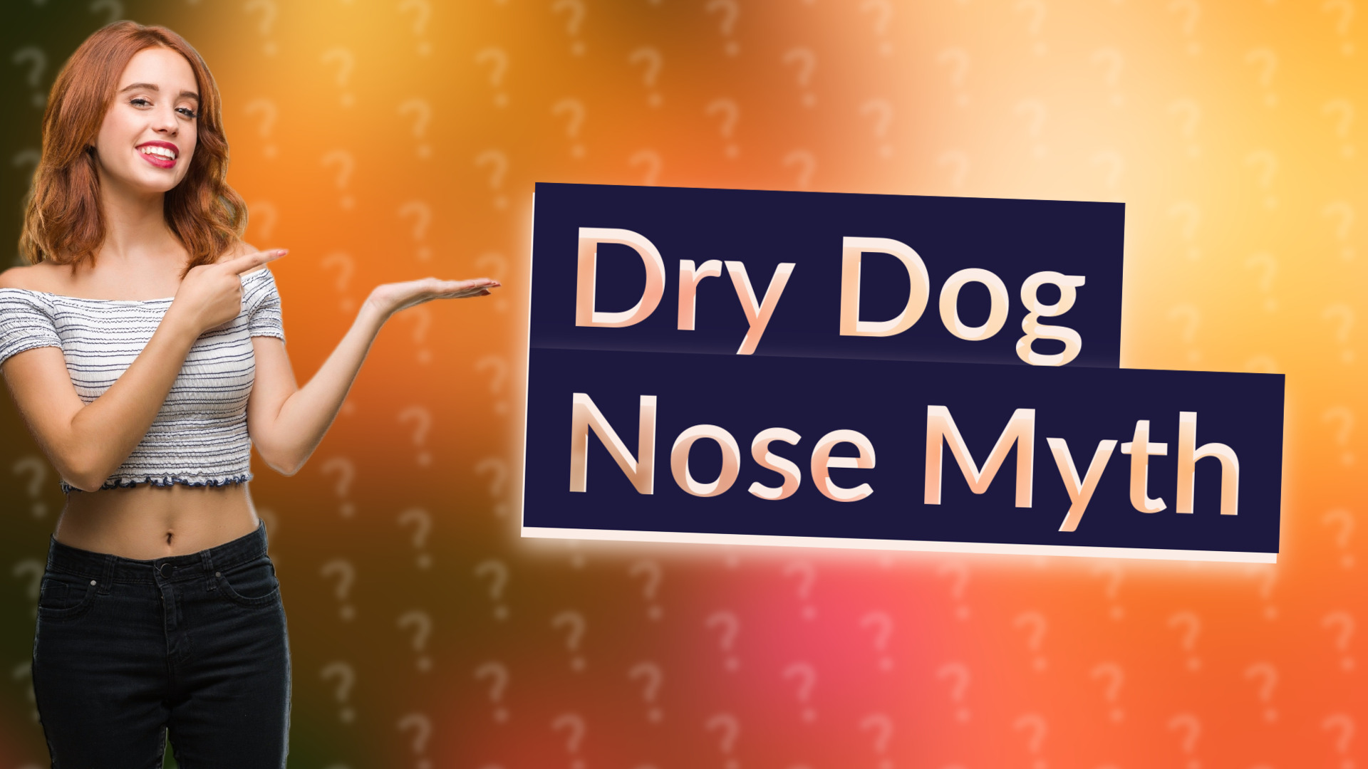Dry Dog Nose Myth