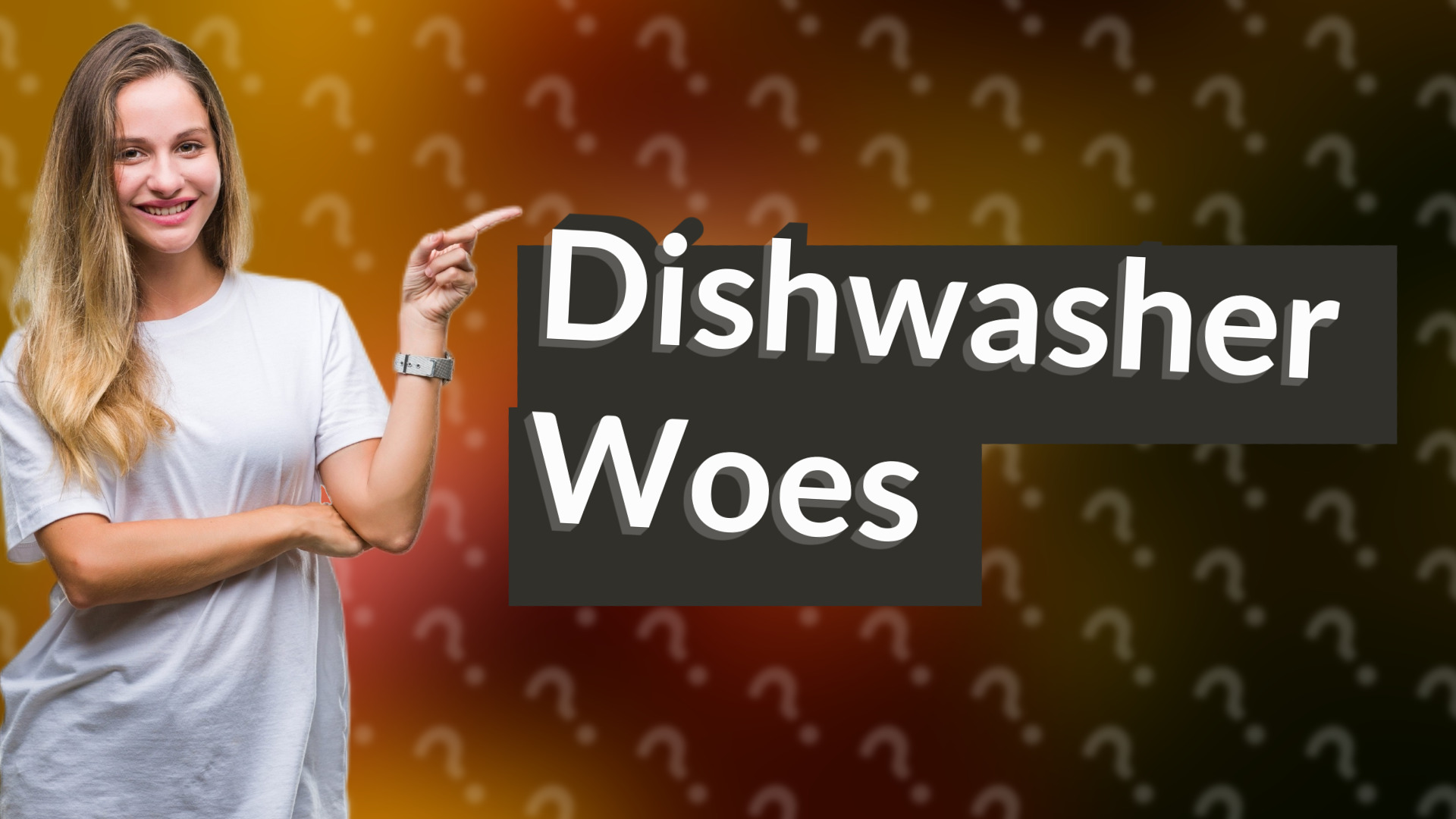 Dishwasher Woes