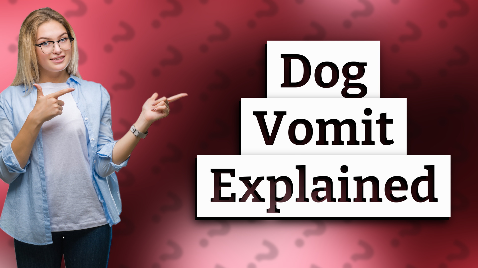 Dog Vomit Explained