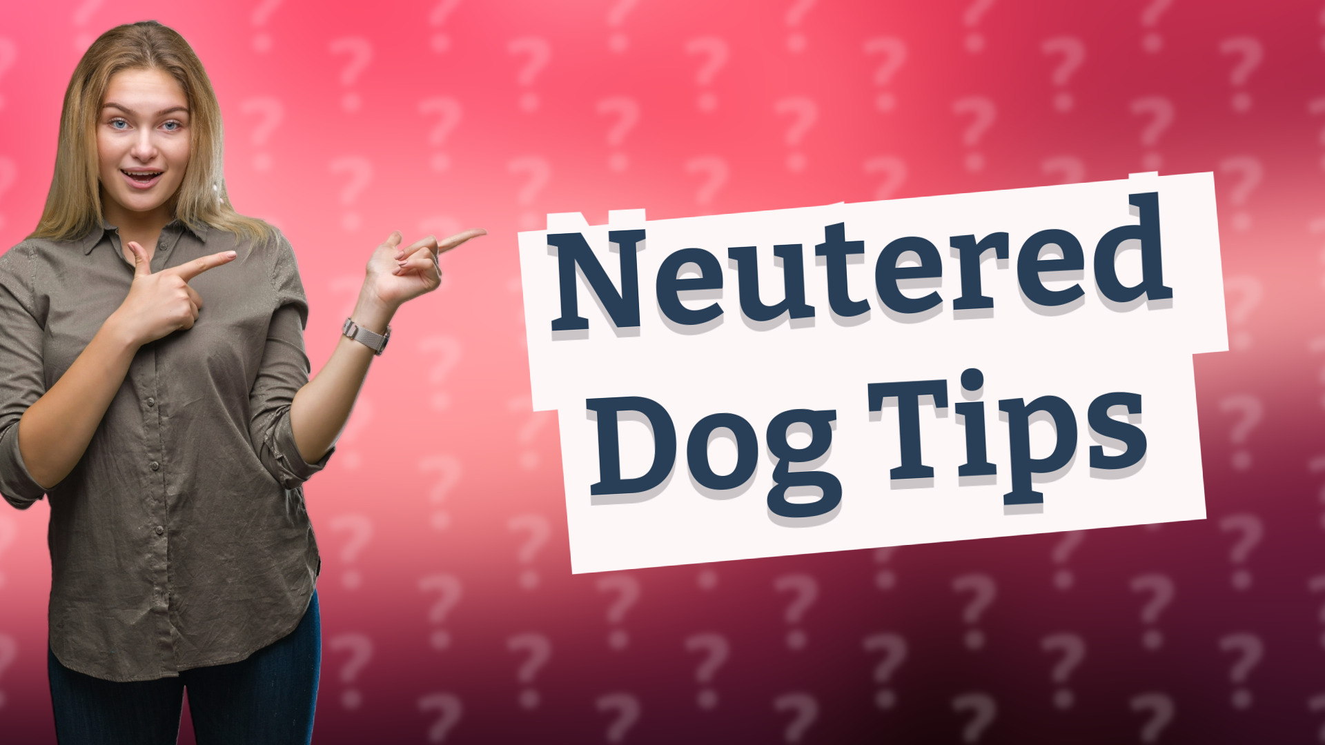 Neutered Dog Tips