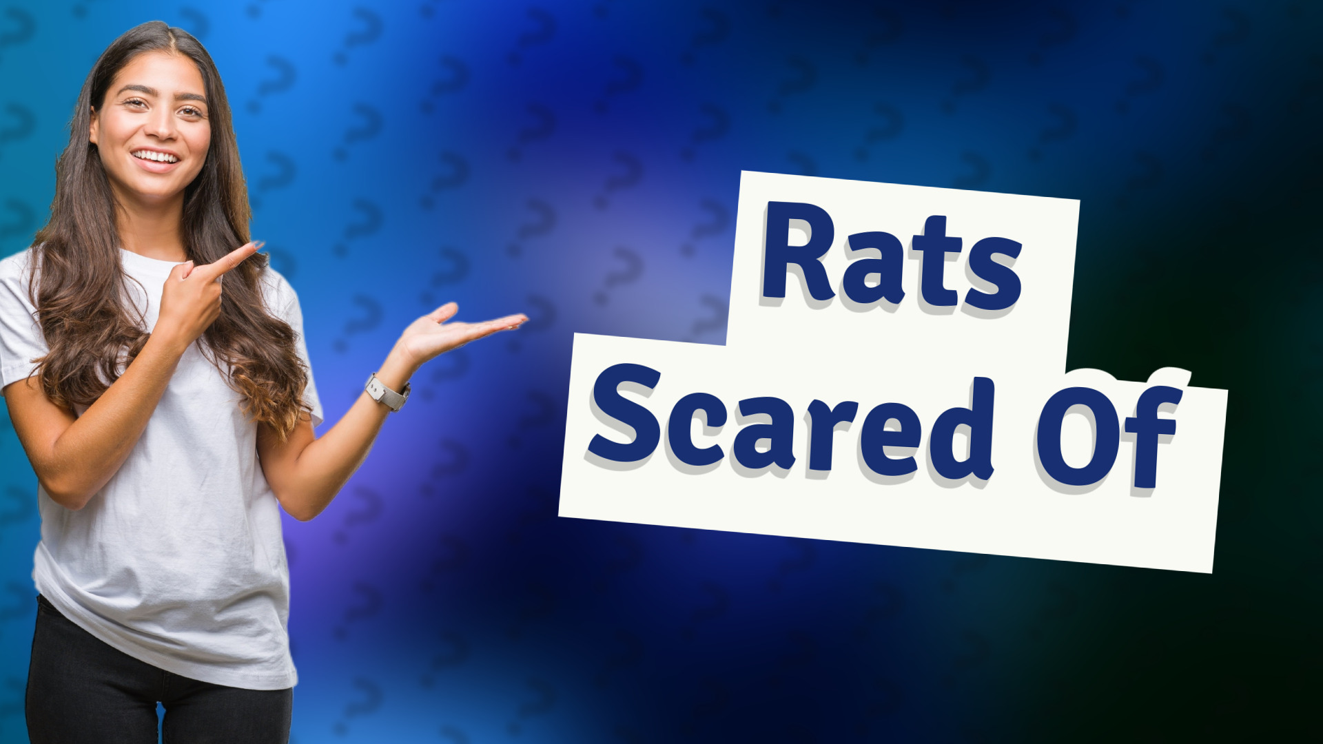Rats Scared Of