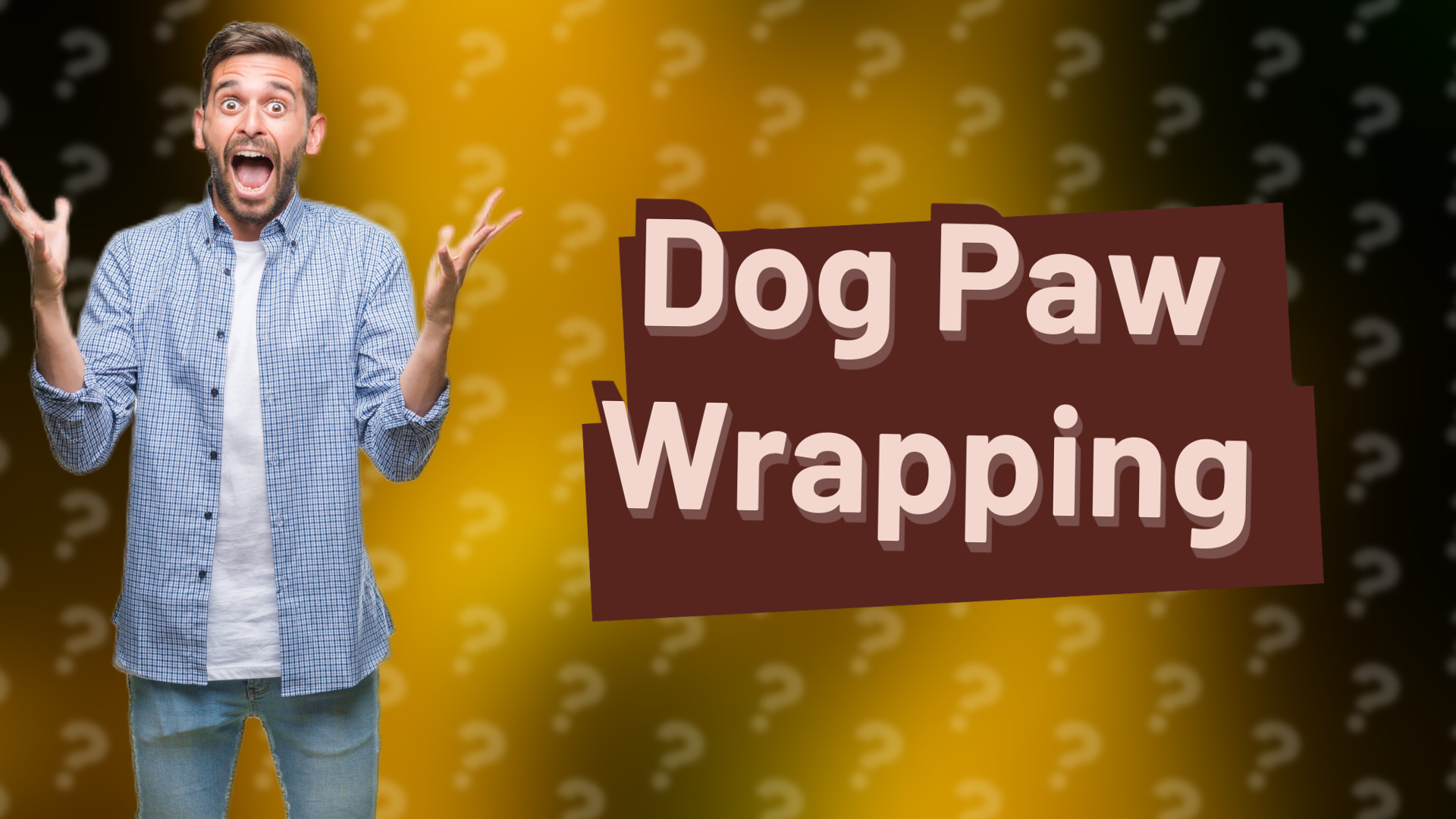Dog Paw Wrapping