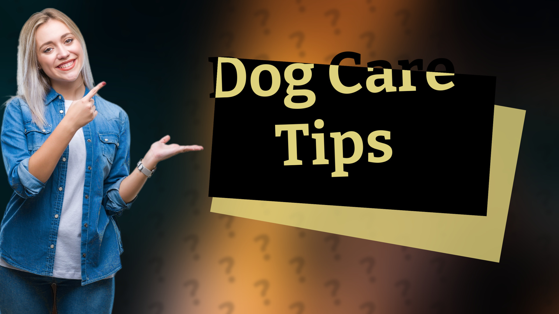 Dog Care Tips