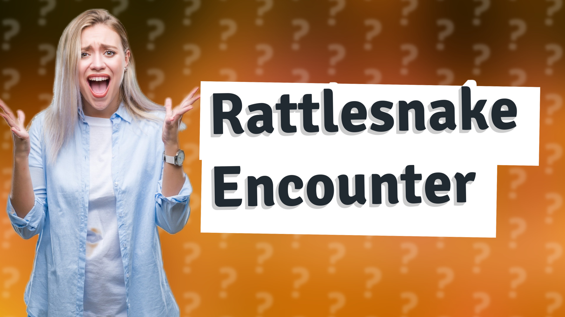 Rattlesnake Encounter