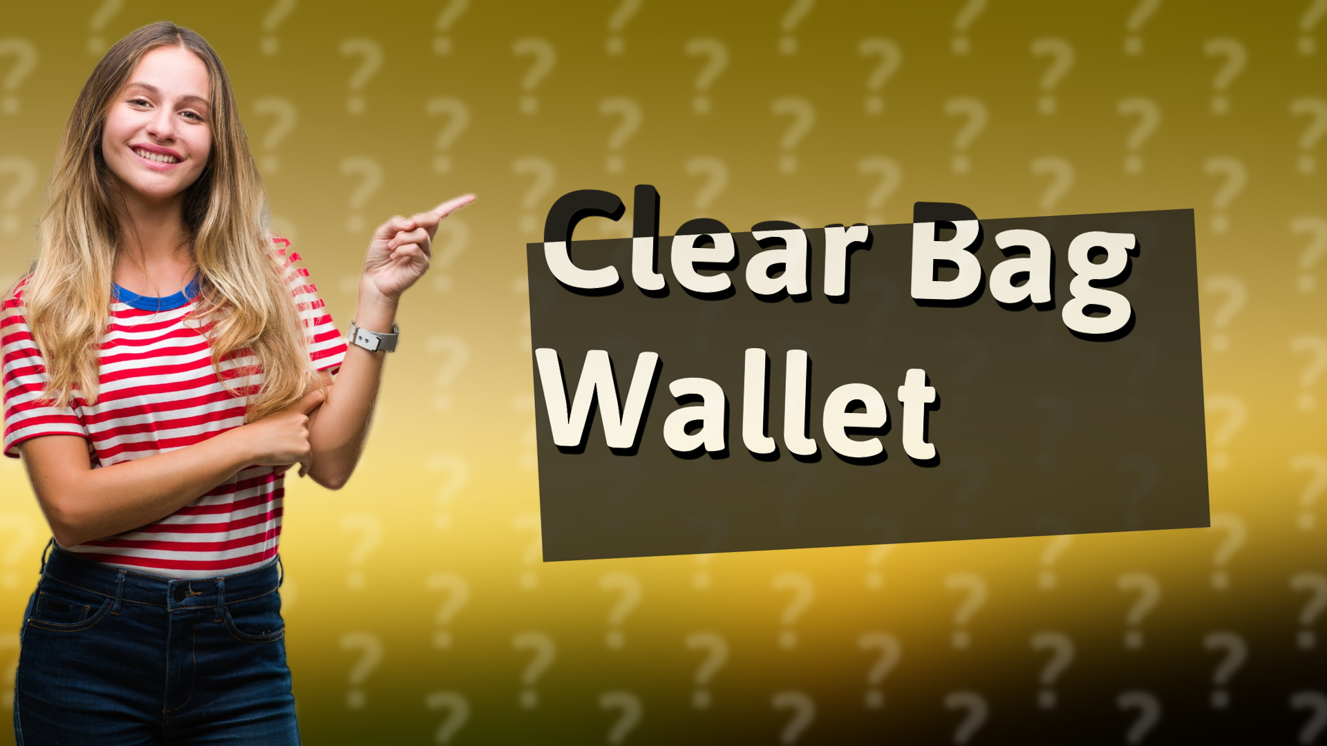 Clear Bag Wallet