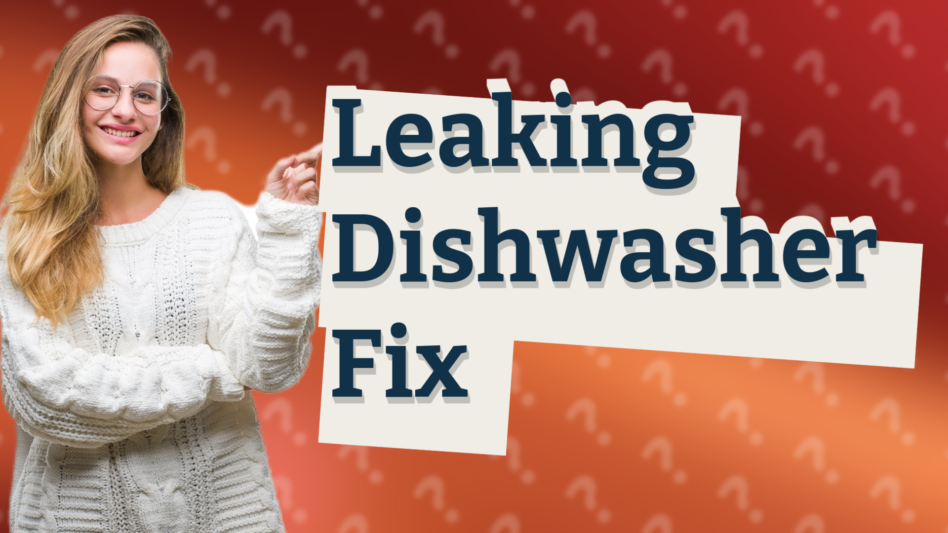 Leaking Dishwasher Fix