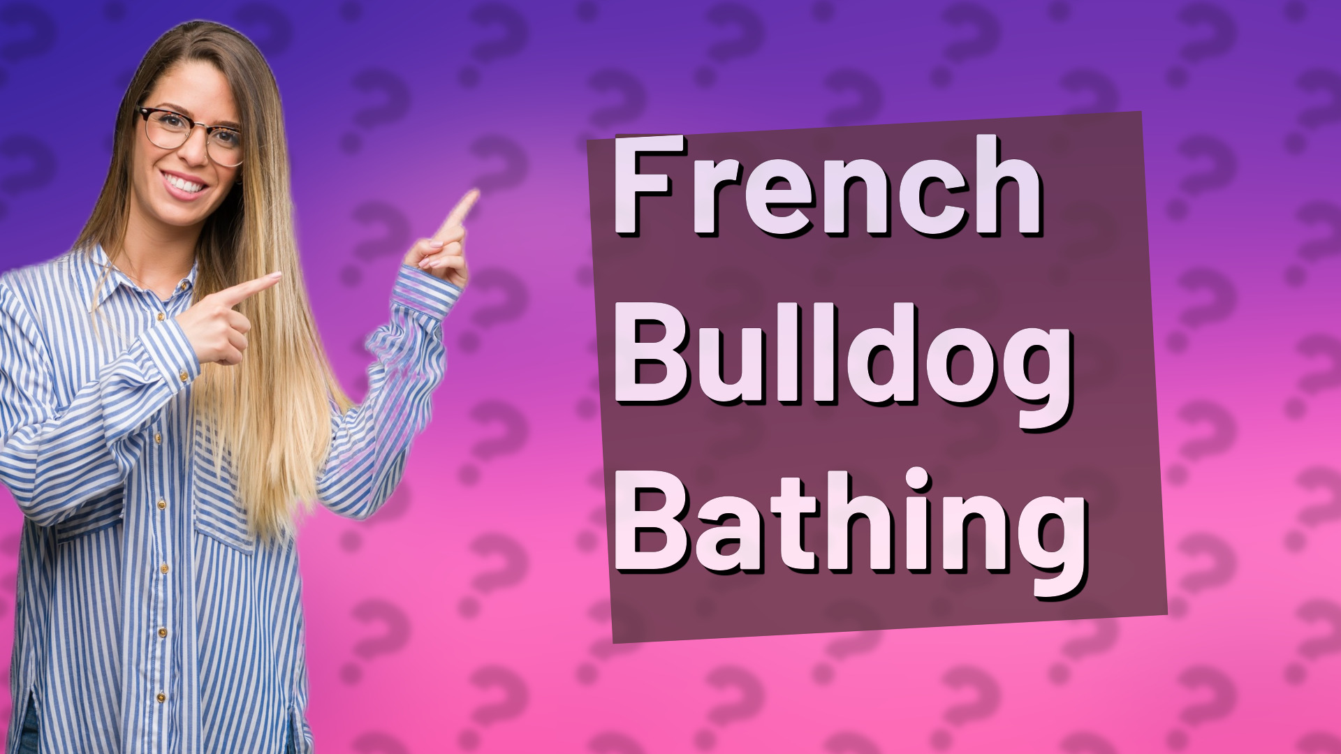 French Bulldog Bathing