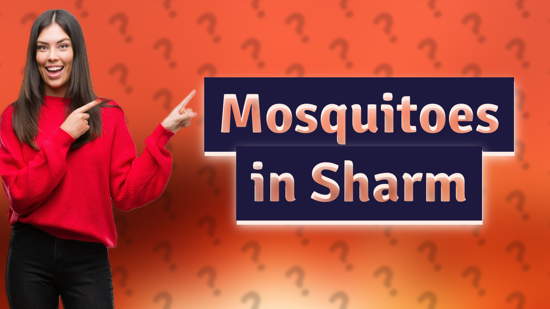 Mosquitoes in Sharm