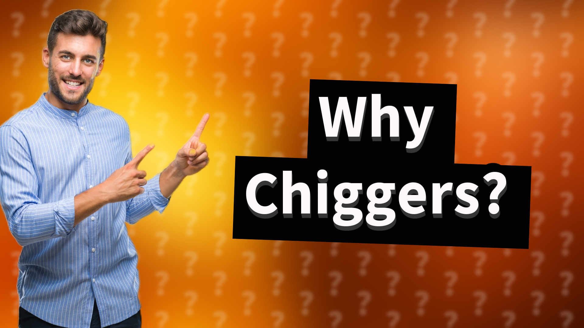 Why Chiggers?