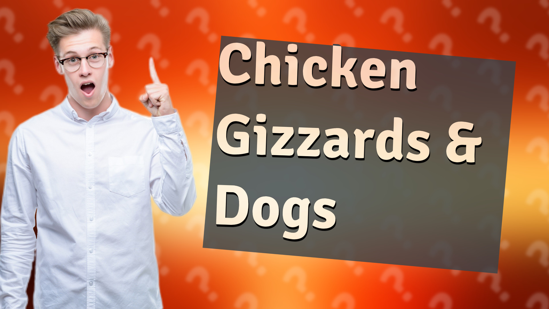 Chicken Gizzards & Dogs