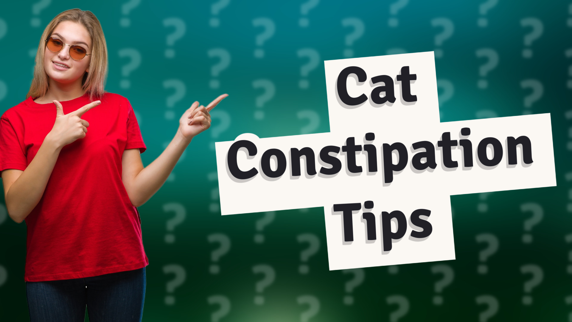 Cat Constipation Tips